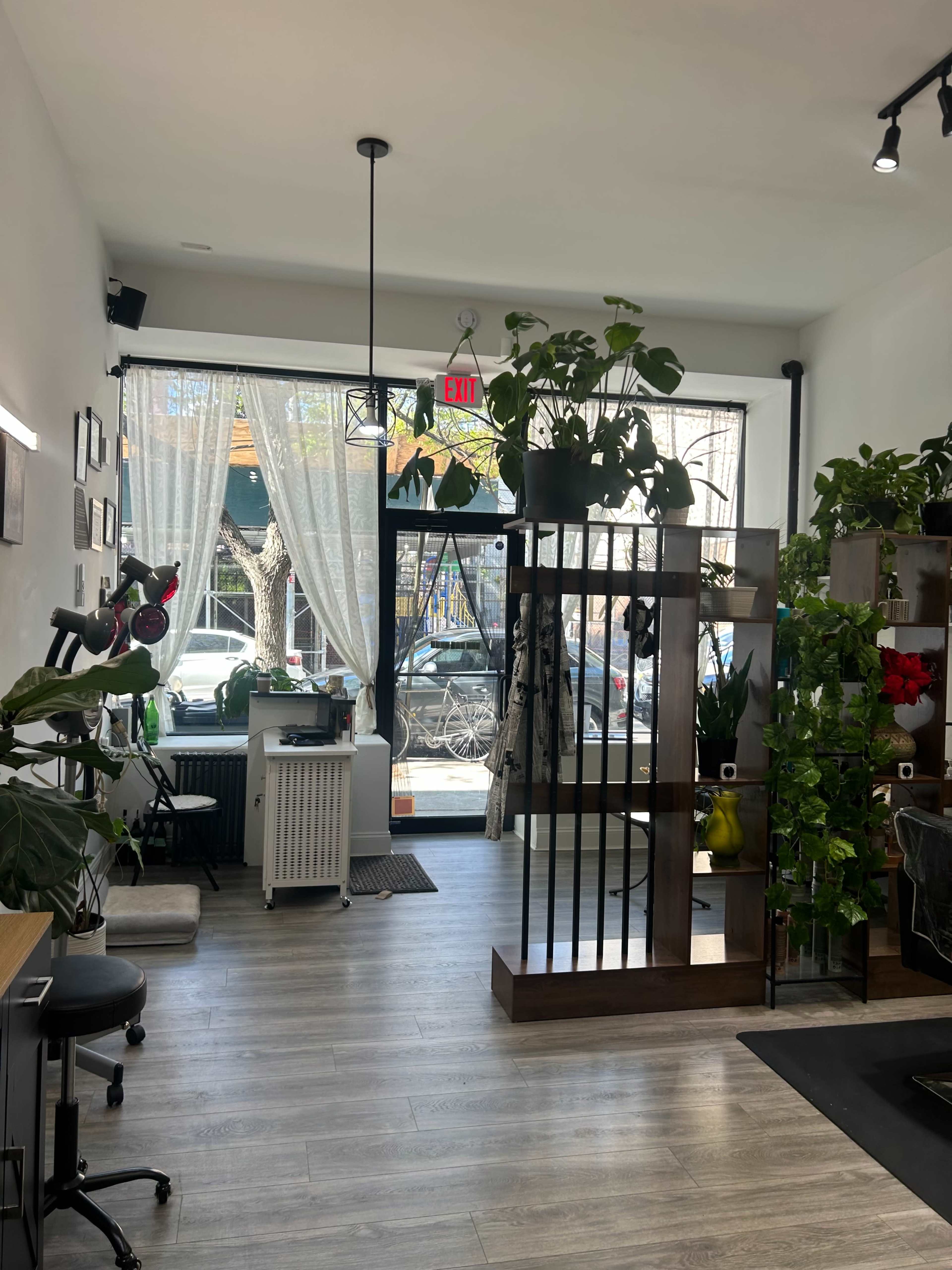 The image shows a modern, well-lit salon interior featuring plants, styling chairs, and large windows with natural light.
