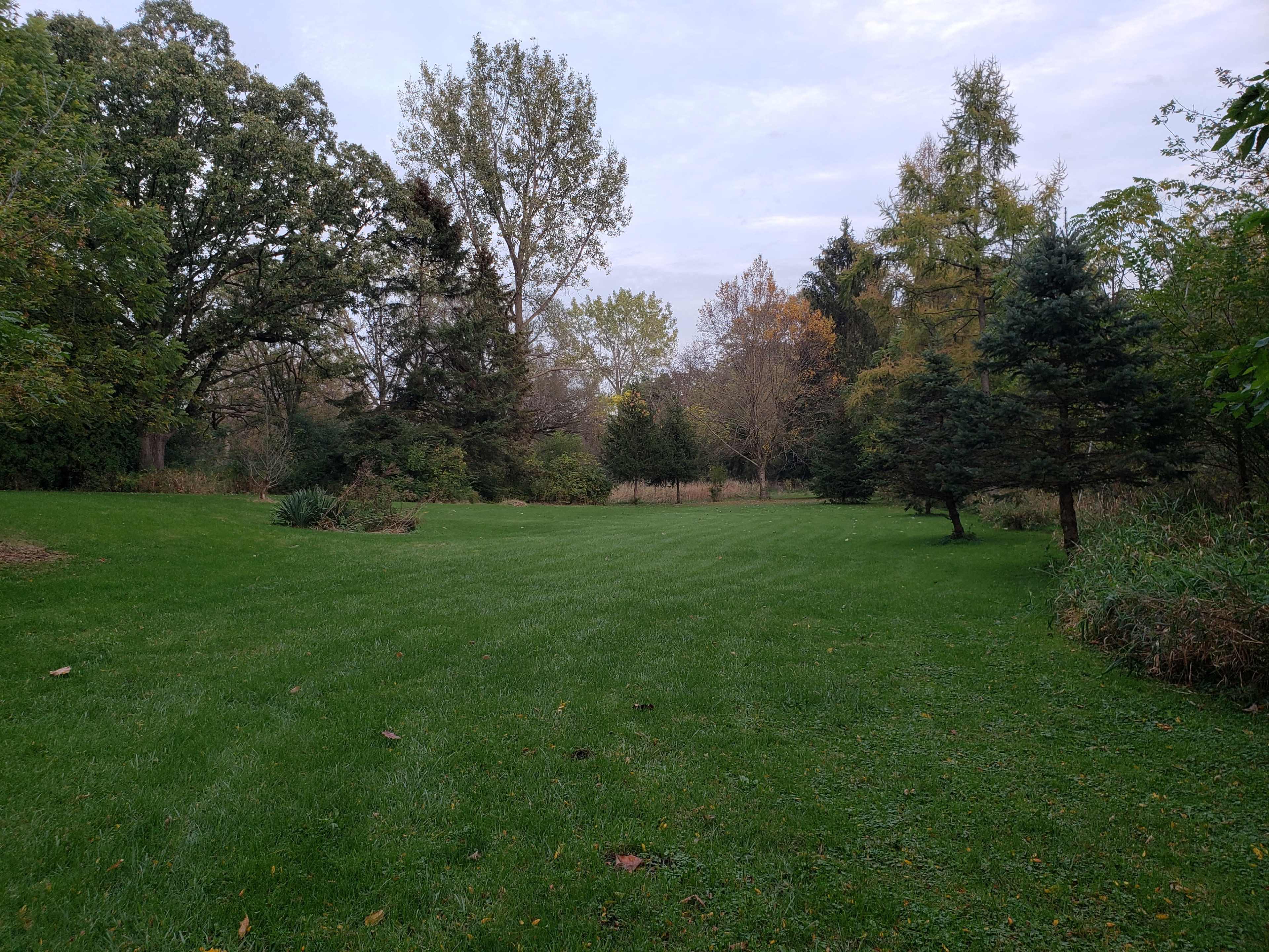 A grassy field is surrounded by various trees, with a mix of deciduous and coniferous vegetation in the background.