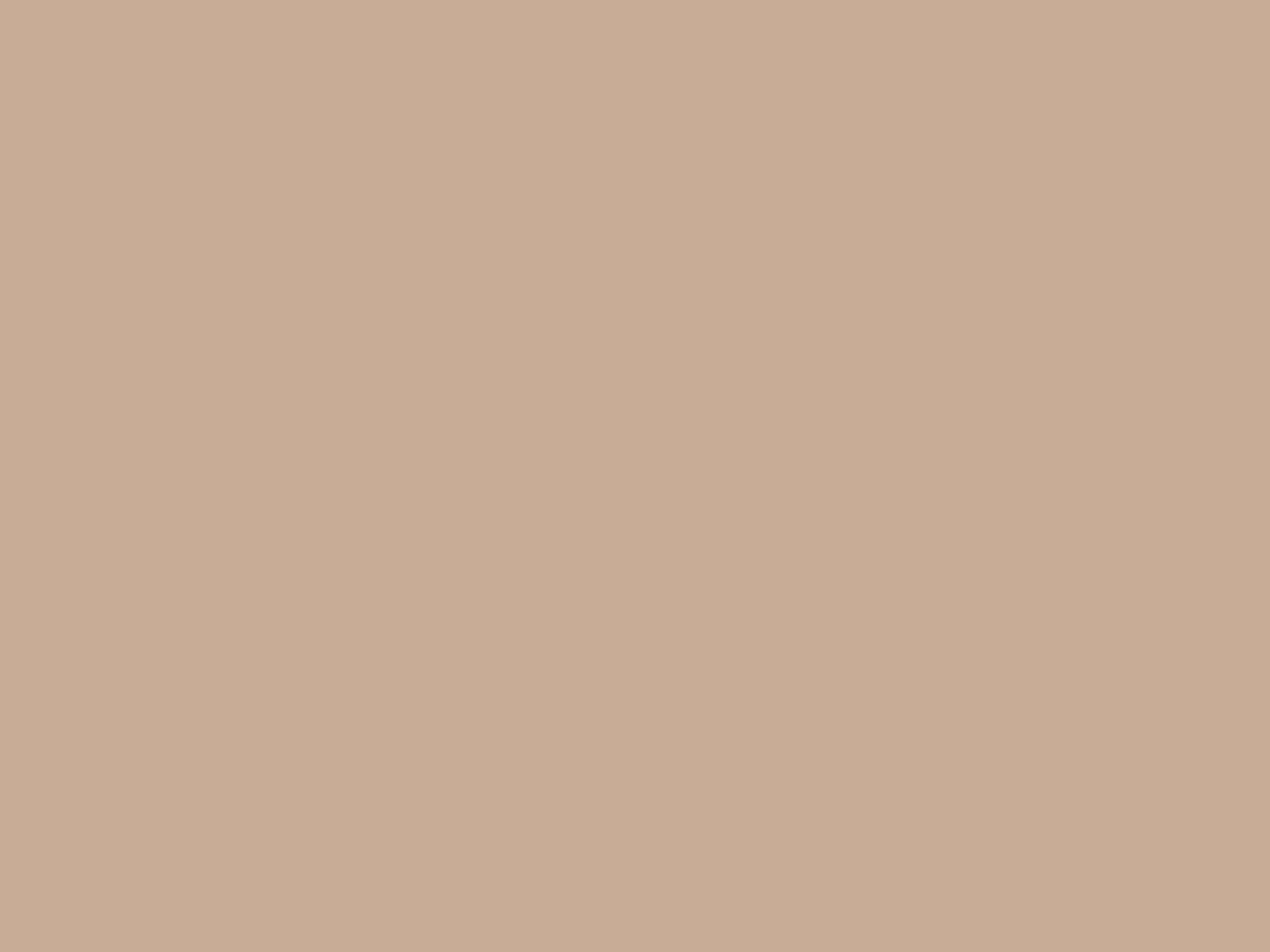 Backdrop Paper Pecan/Nude