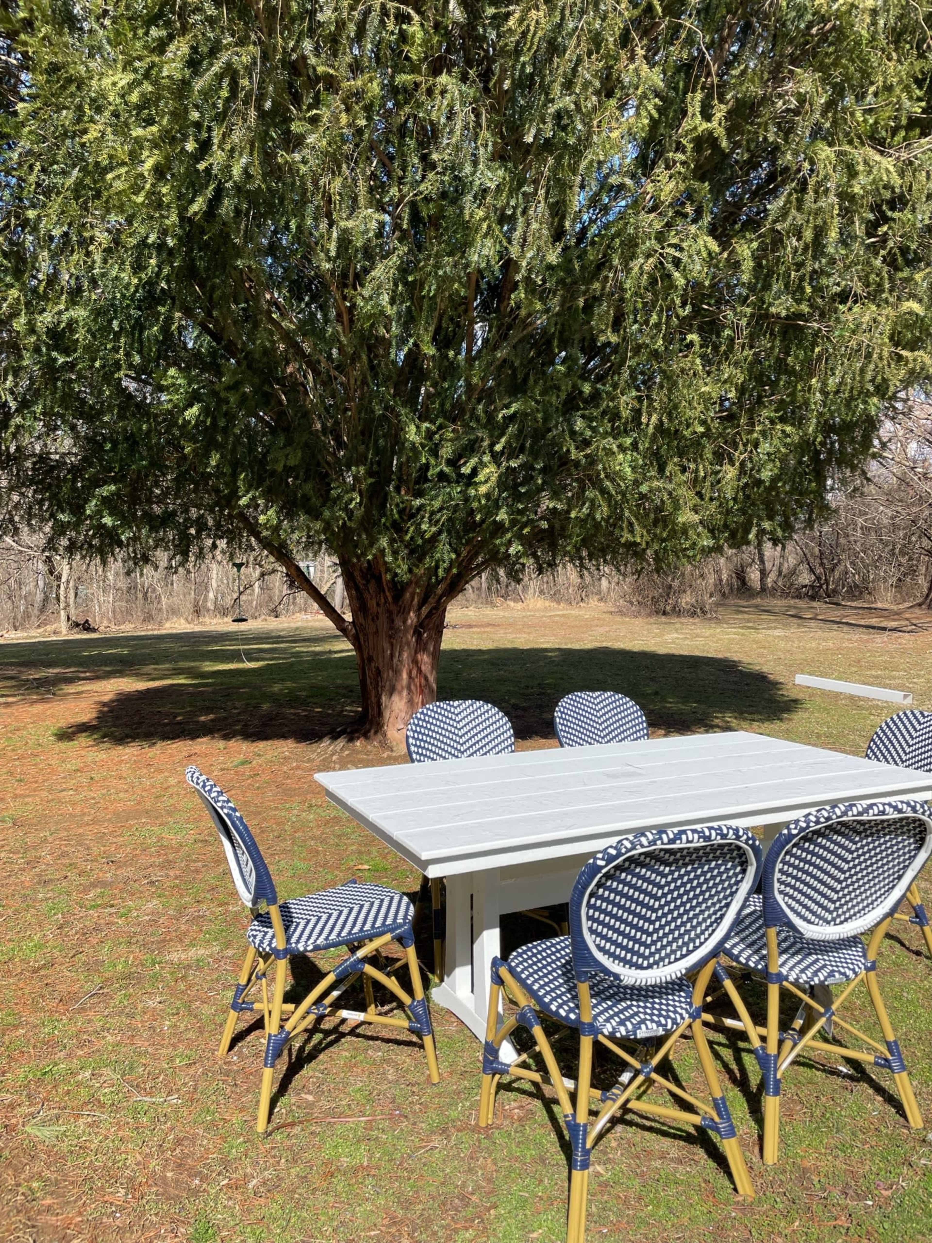 A patio table with six patterned chairs is set up beneath a large tree in a grassy outdoor area.