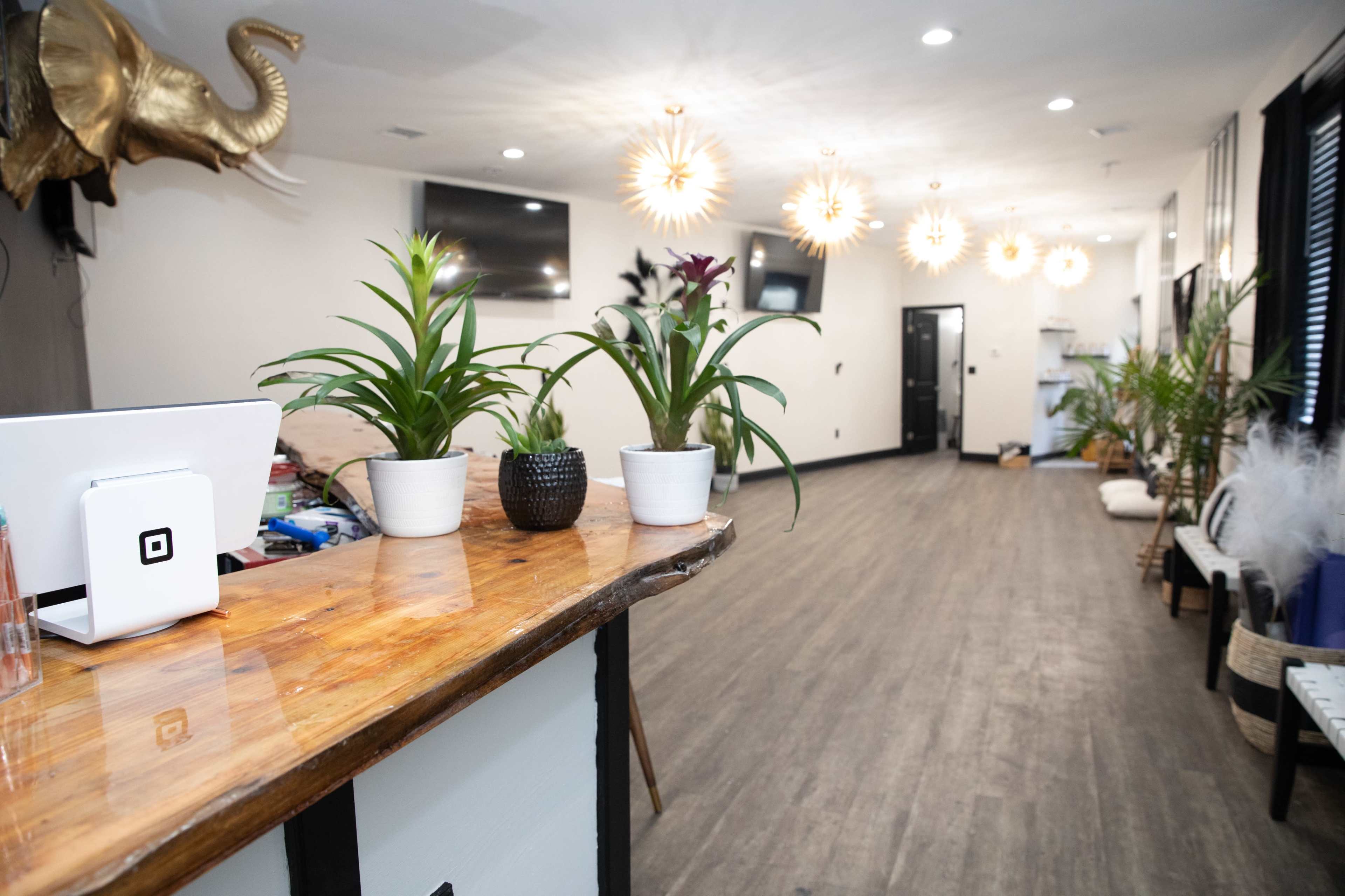 A reception area with a wooden counter, several potted plants, and decorative lighting fixtures along a hallway leading to other rooms.