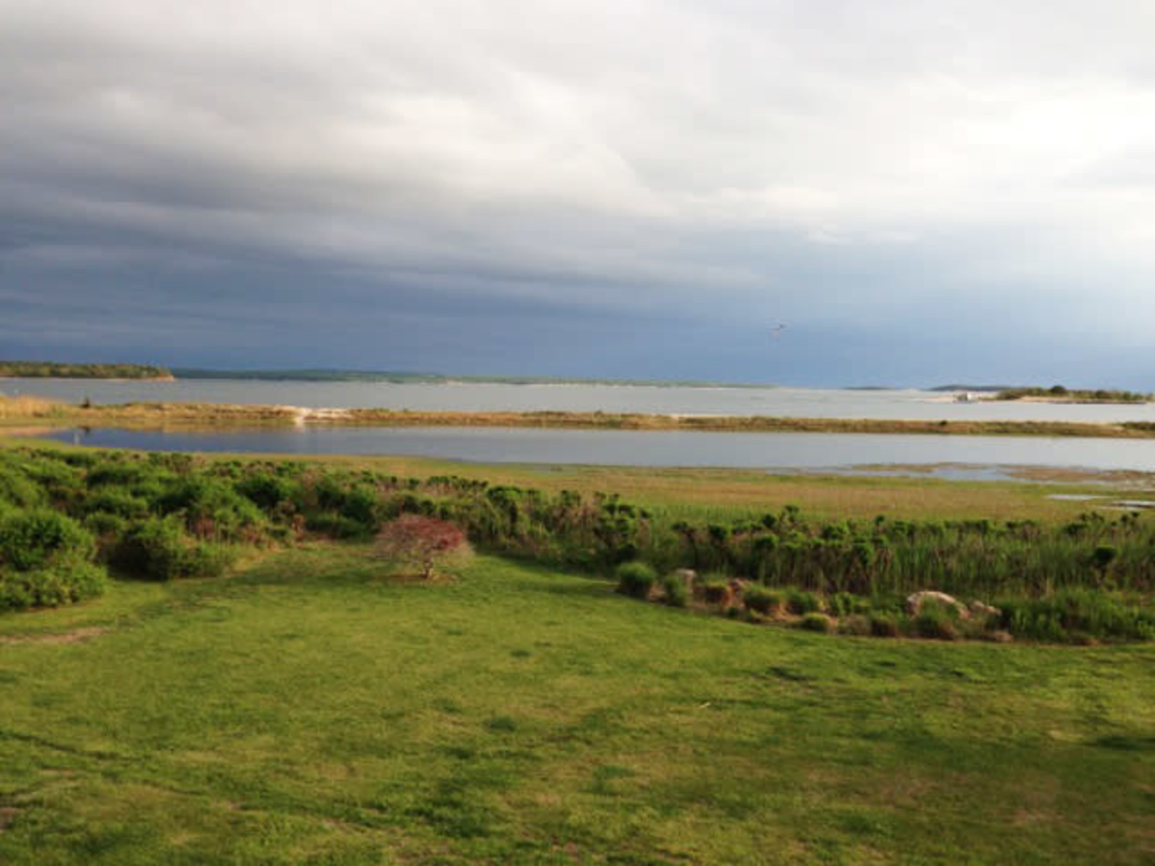 A grassy landscape with a body of water and cloudy skies in the background.