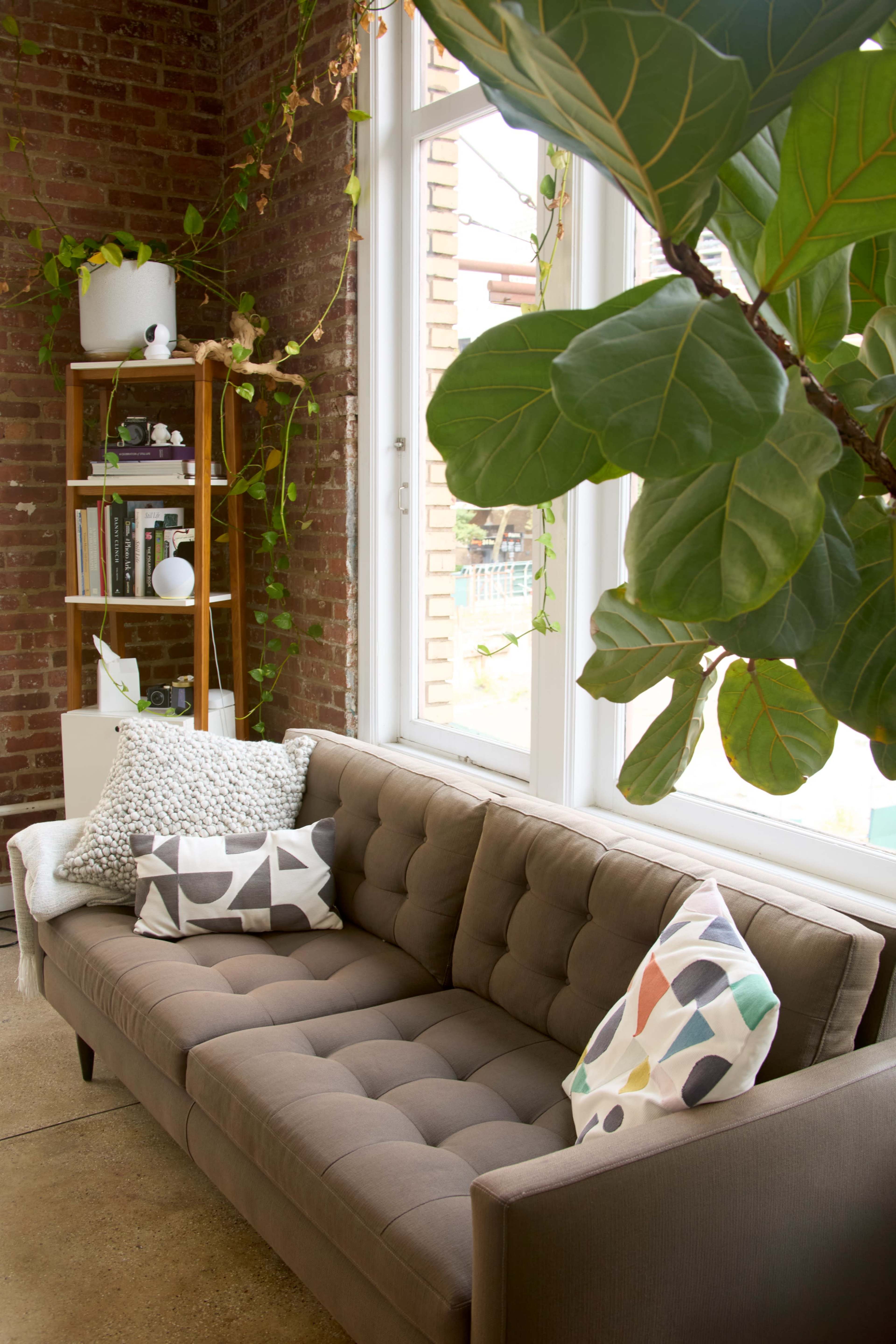 A brown tufted sofa is positioned next to a large window, surrounded by a potted plant and shelves filled with books and decorative items.
