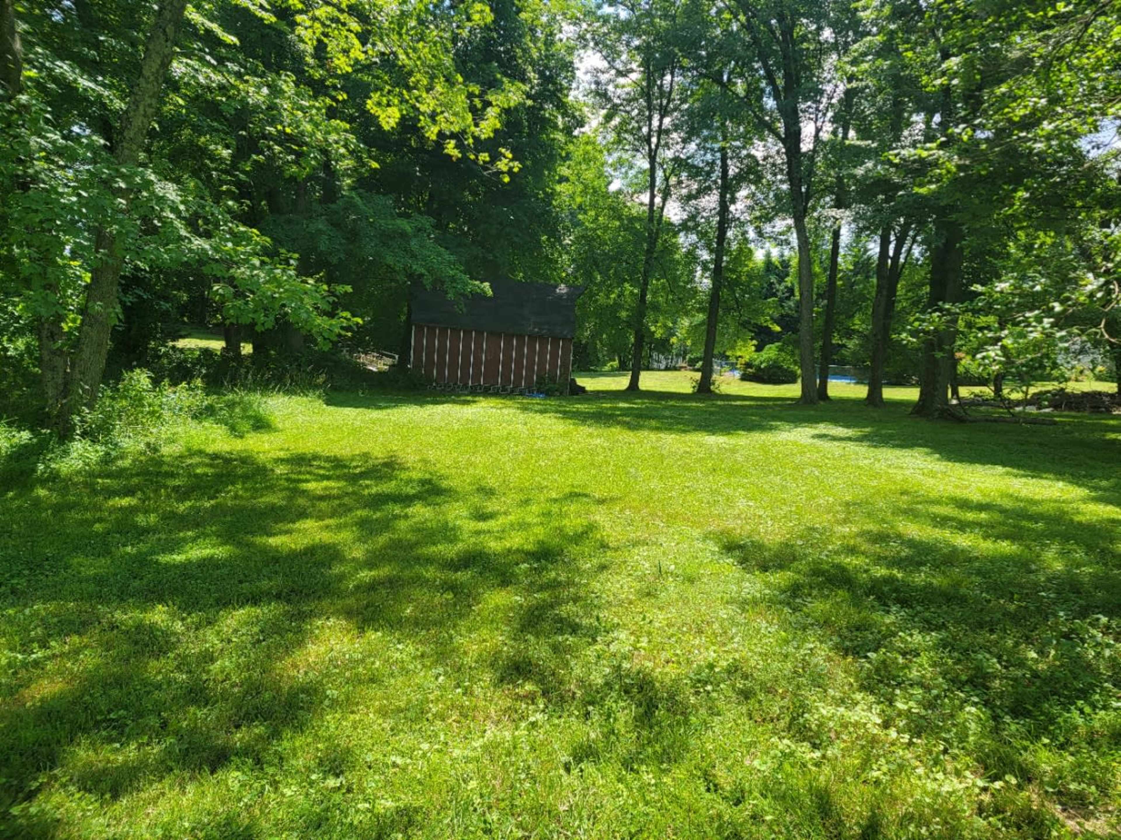 A small red shed is positioned among tall trees and a grassy lawn under bright sunlight.