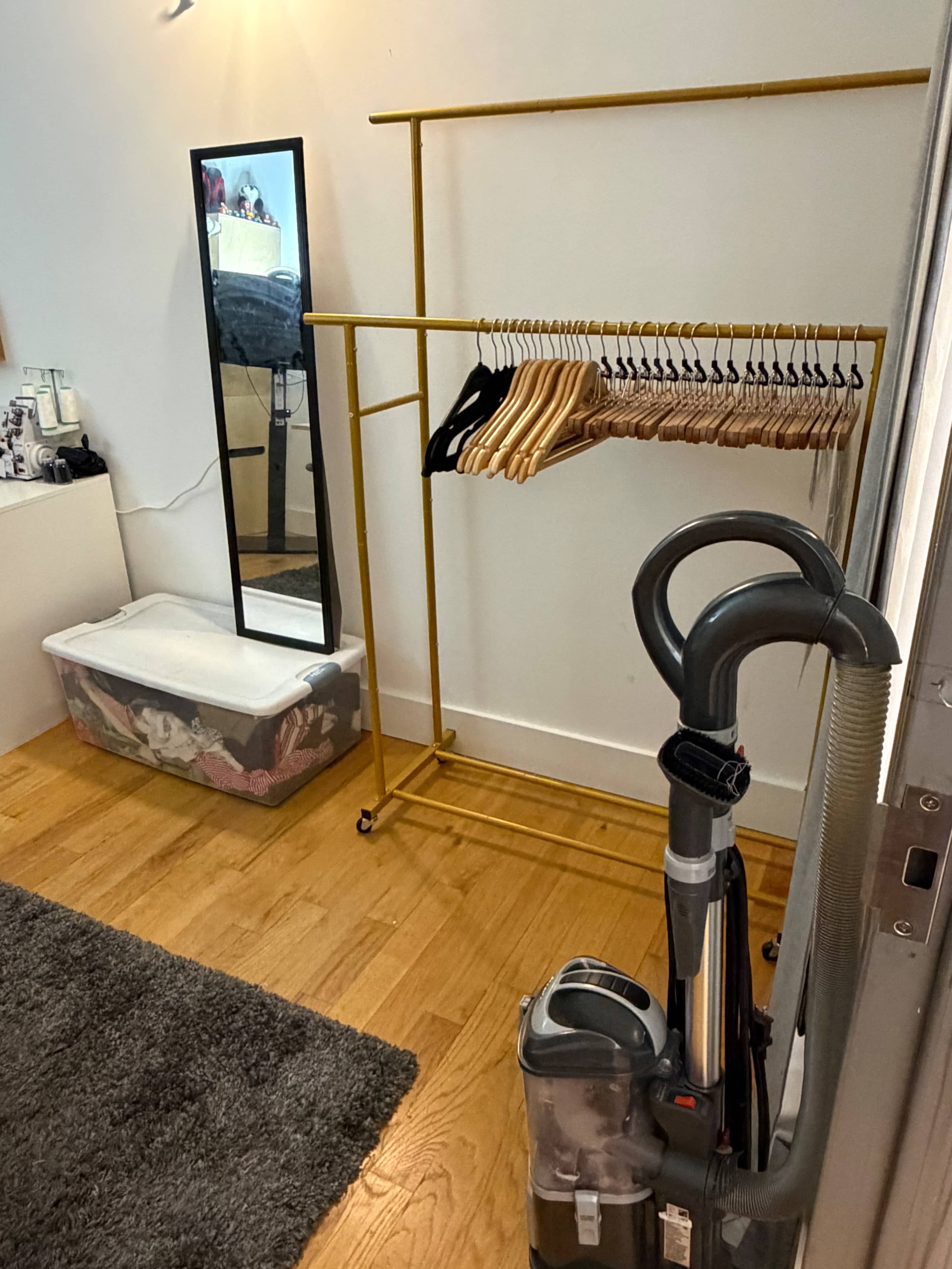 The image shows a room corner with a gold clothing rack holding wooden hangers, a vacuum cleaner, a plastic storage bin, and a full-length mirror.