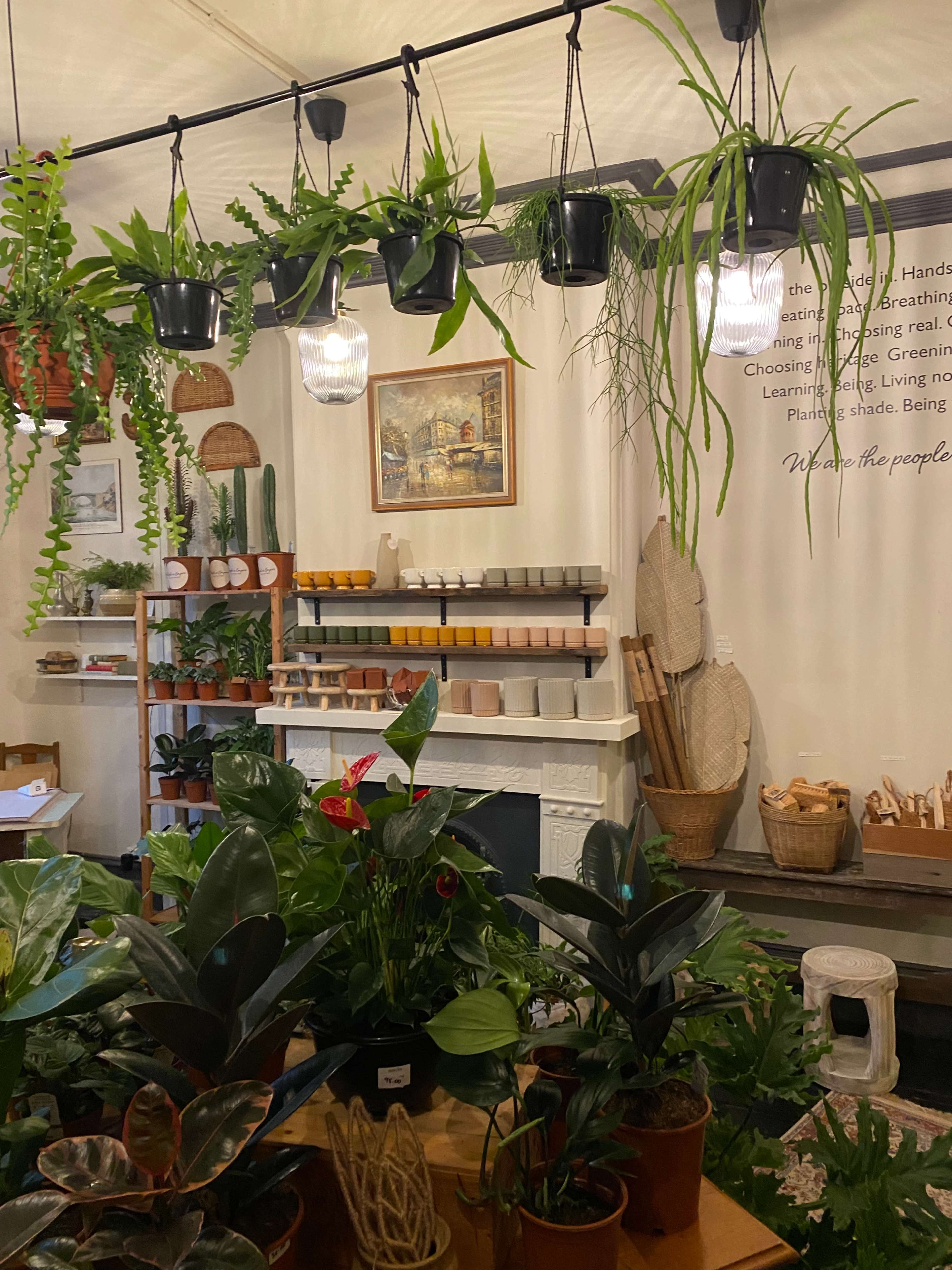 A cozy plant shop with various hanging and potted plants, a lit fireplace, and shelves displaying gardening tools and decor.