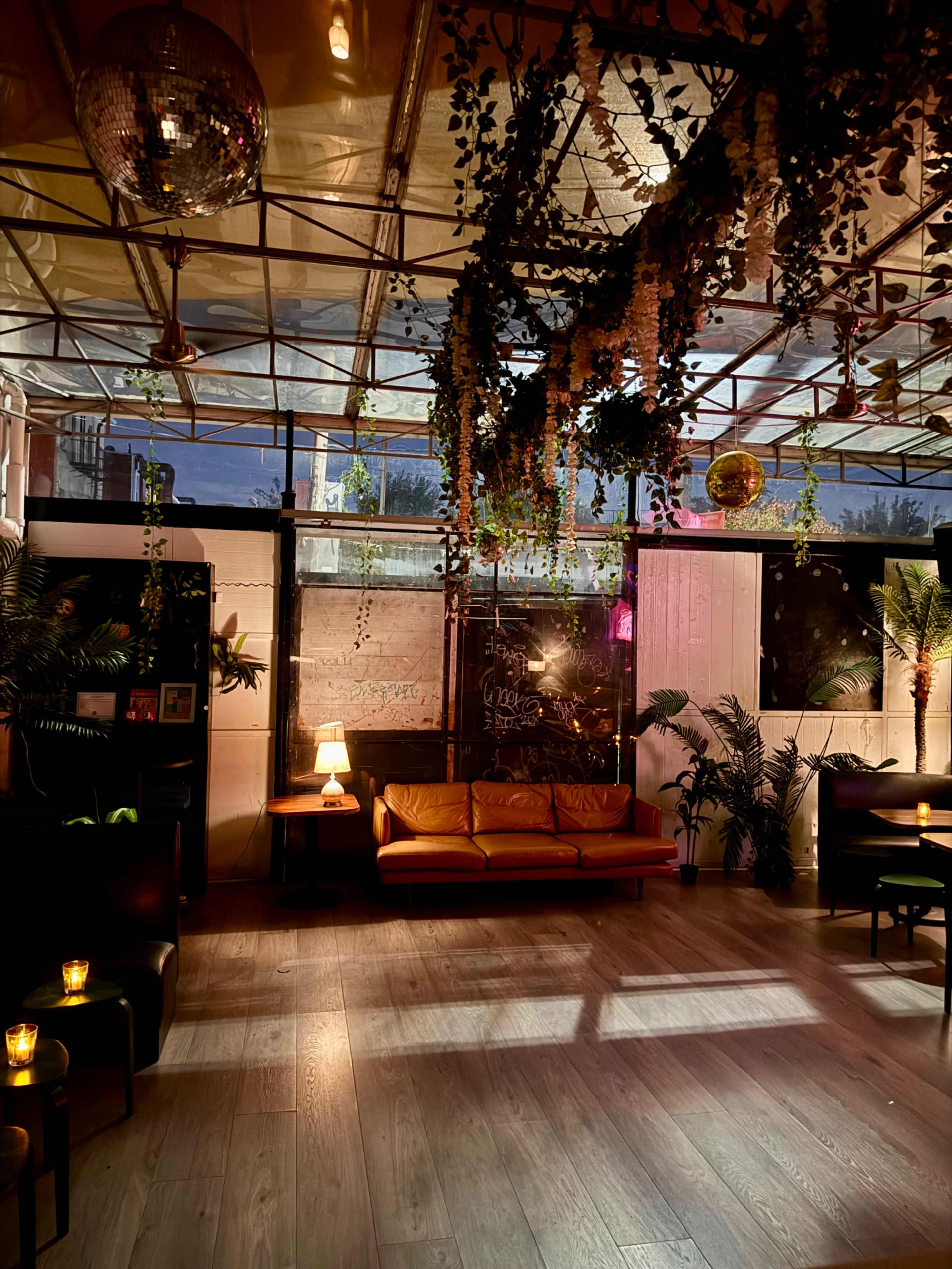 The image shows a cozy indoor space featuring a brown couch, ambient lighting, and decorative plants, with disco balls hanging from the ceiling.