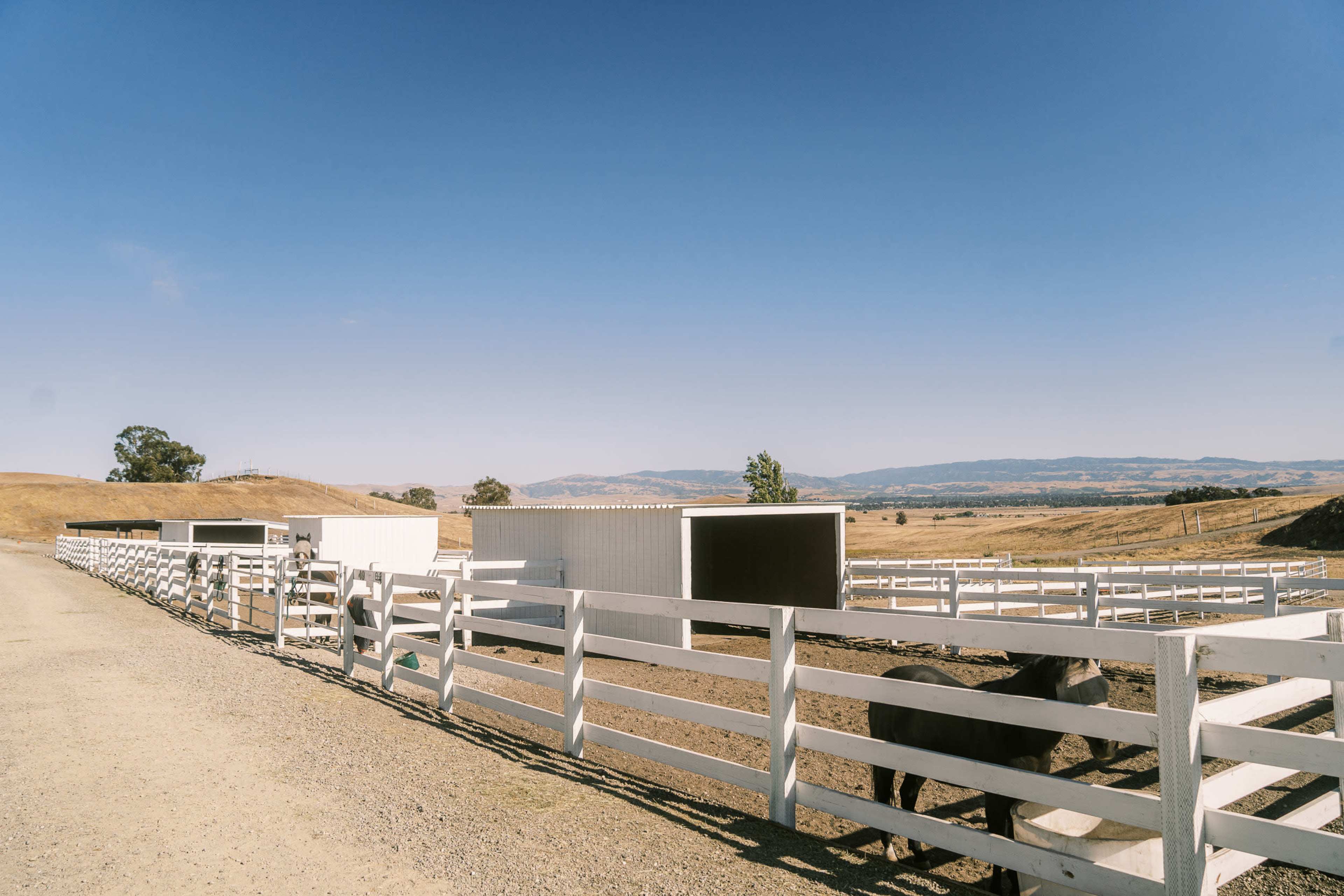 A dirt road runs alongside a series of white fenced horse stalls set against a backdrop of rolling hills and clear skies.
