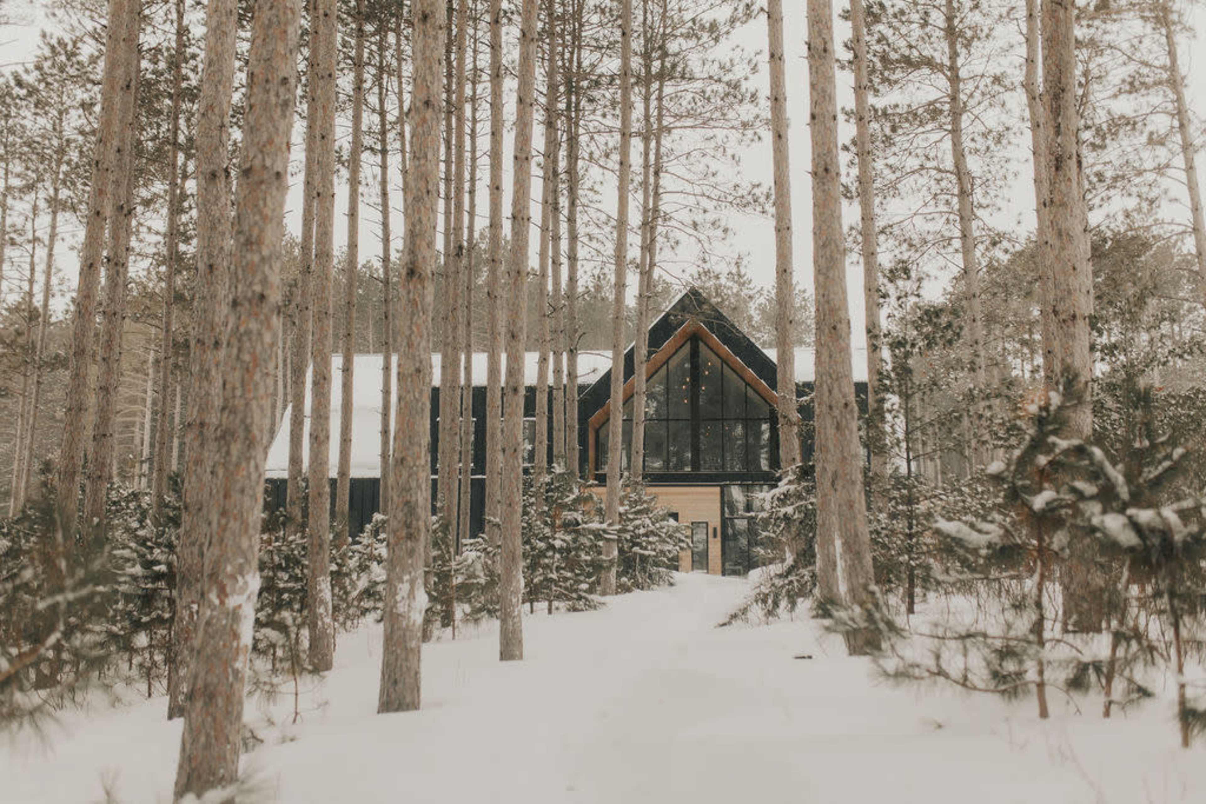 A modern house with large windows stands among tall pine trees in a snowy landscape.