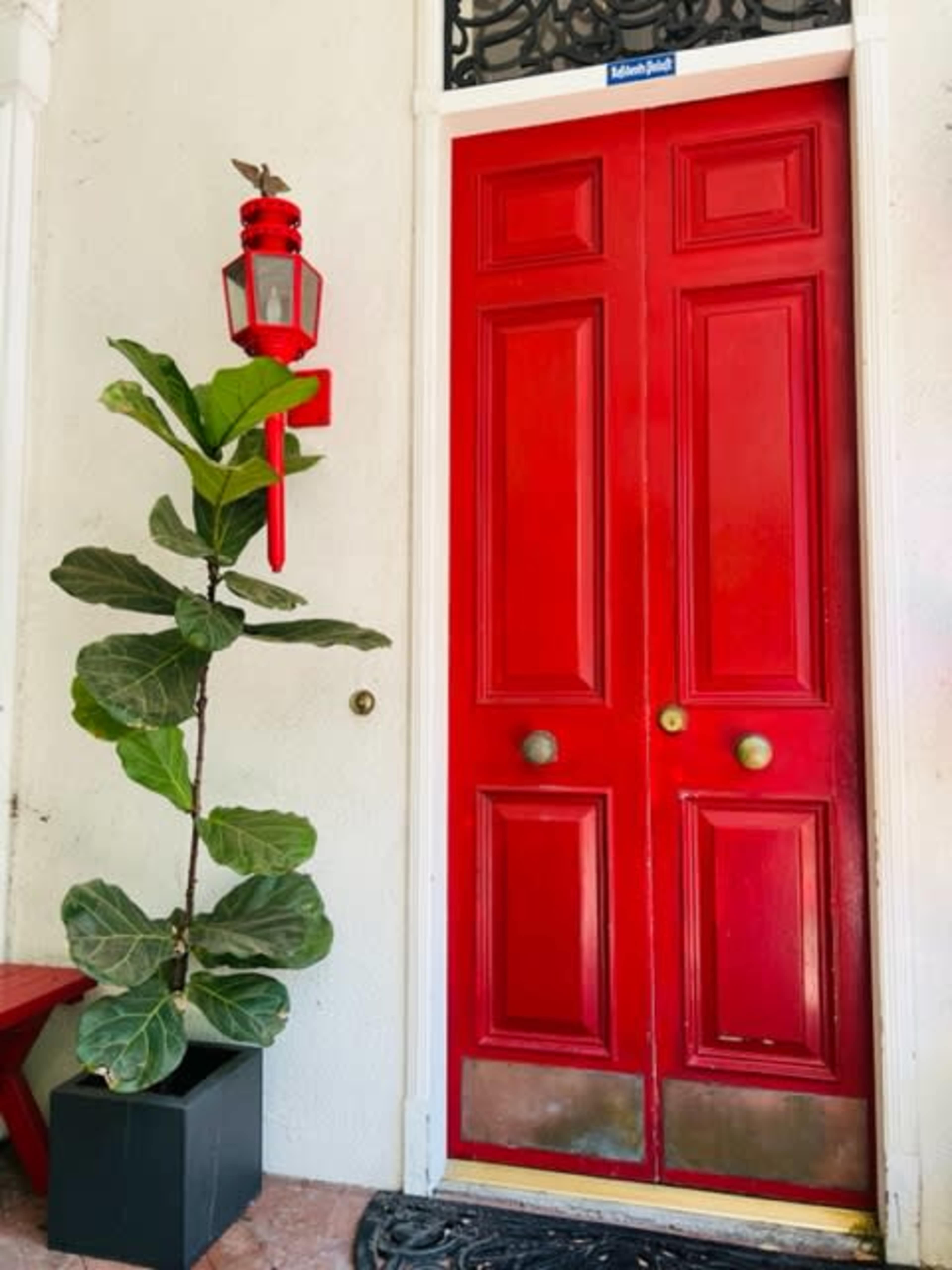 A bright red double door stands next to a potted fiddle leaf fig plant and a lantern on the wall.