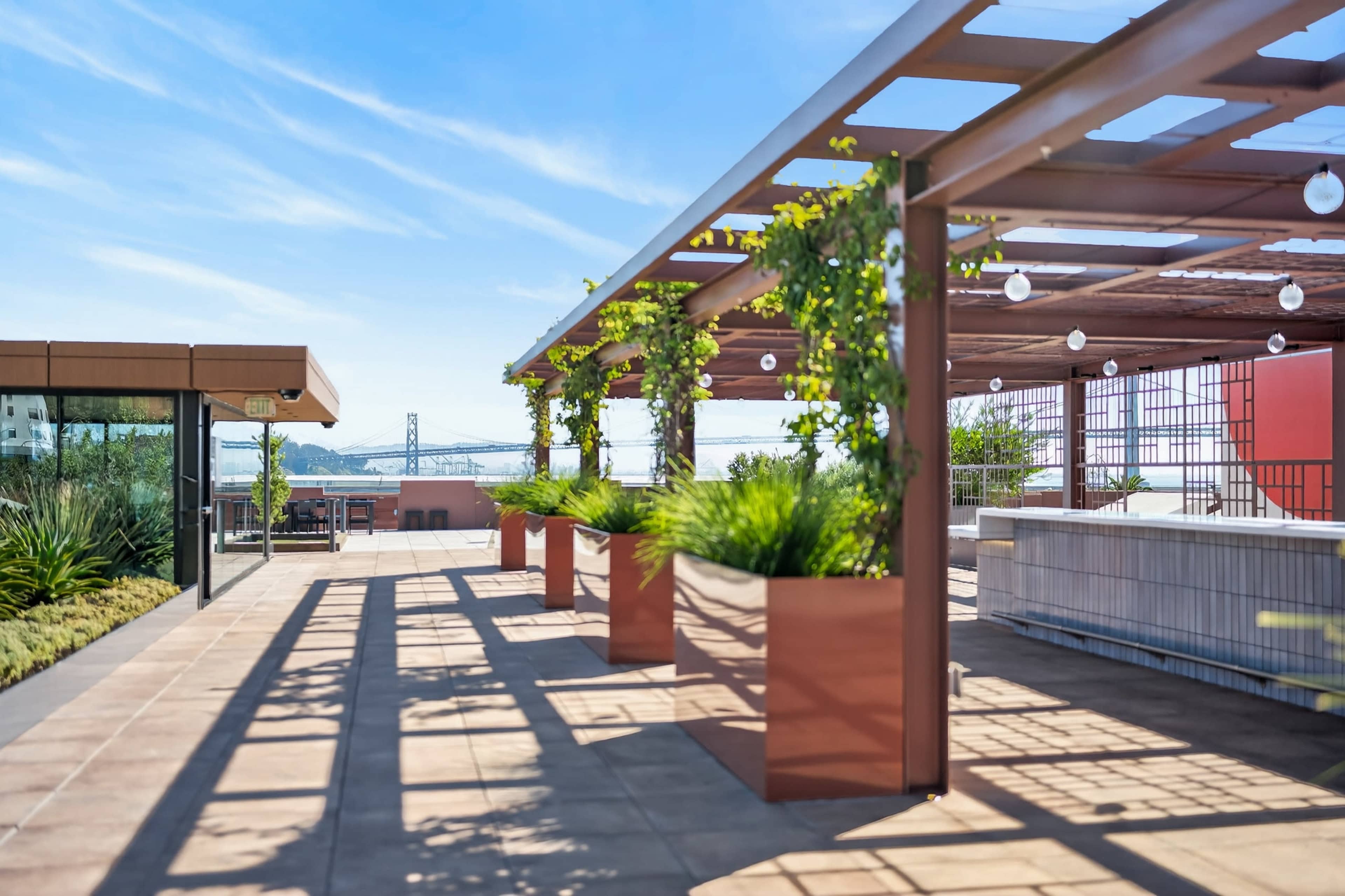 The image shows a rooftop terrace with planters, decorative vines, and a view of a bridge in the background.