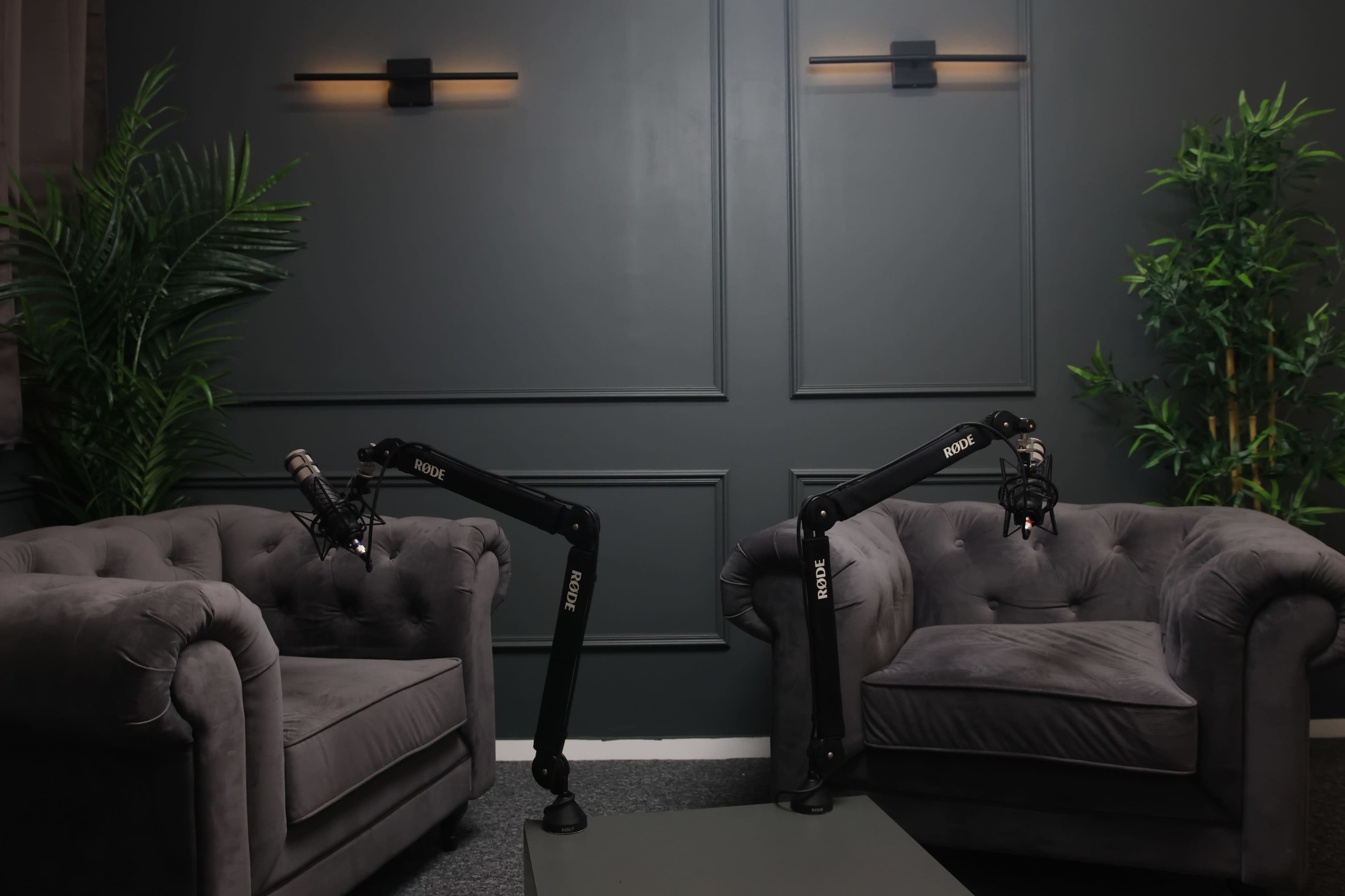 The image shows two plush gray armchairs with microphone booms positioned above them in a room with dark walls and plants.