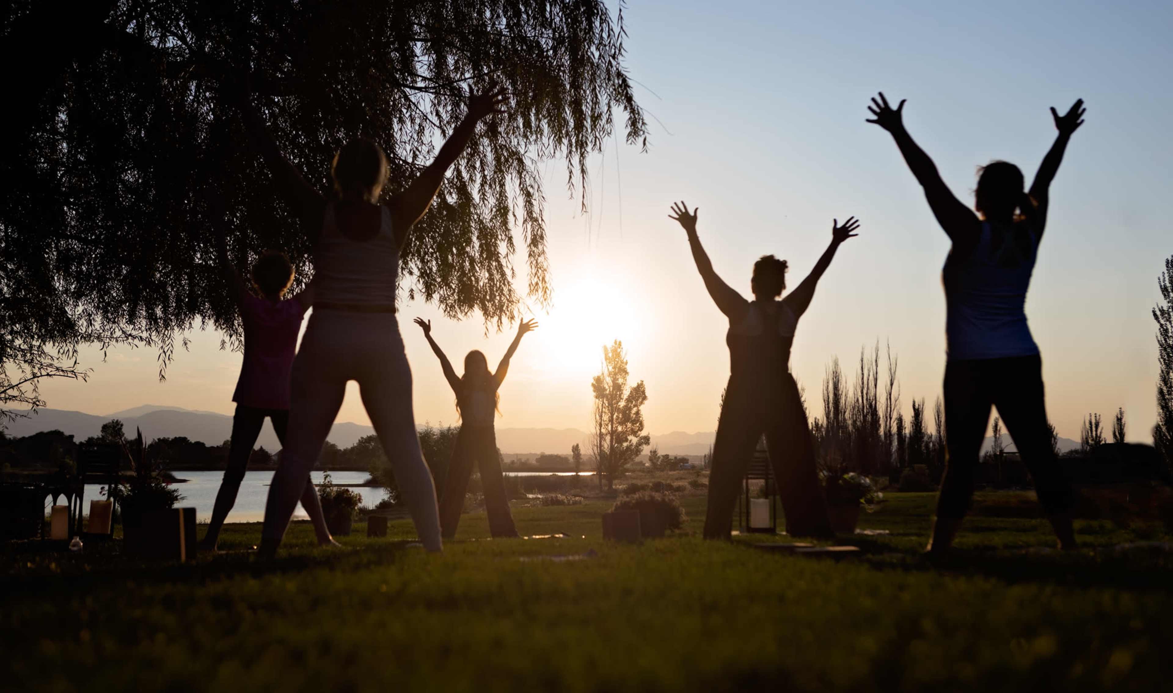 A group of people performs yoga poses on a grassy area during sunset, with silhouetted trees and a body of water in the background.