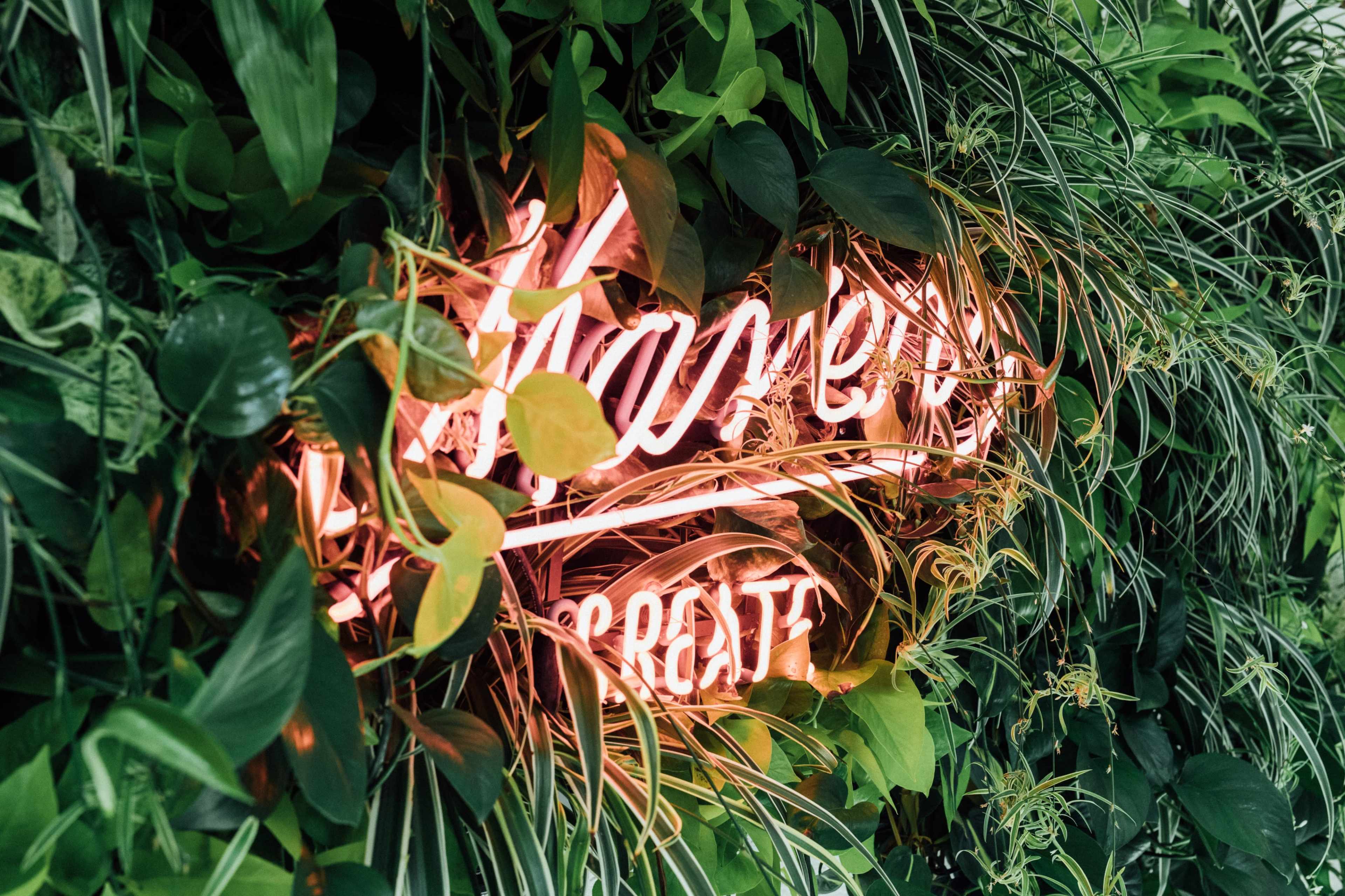 A neon sign with the word "Harvest" is surrounded by lush green foliage.