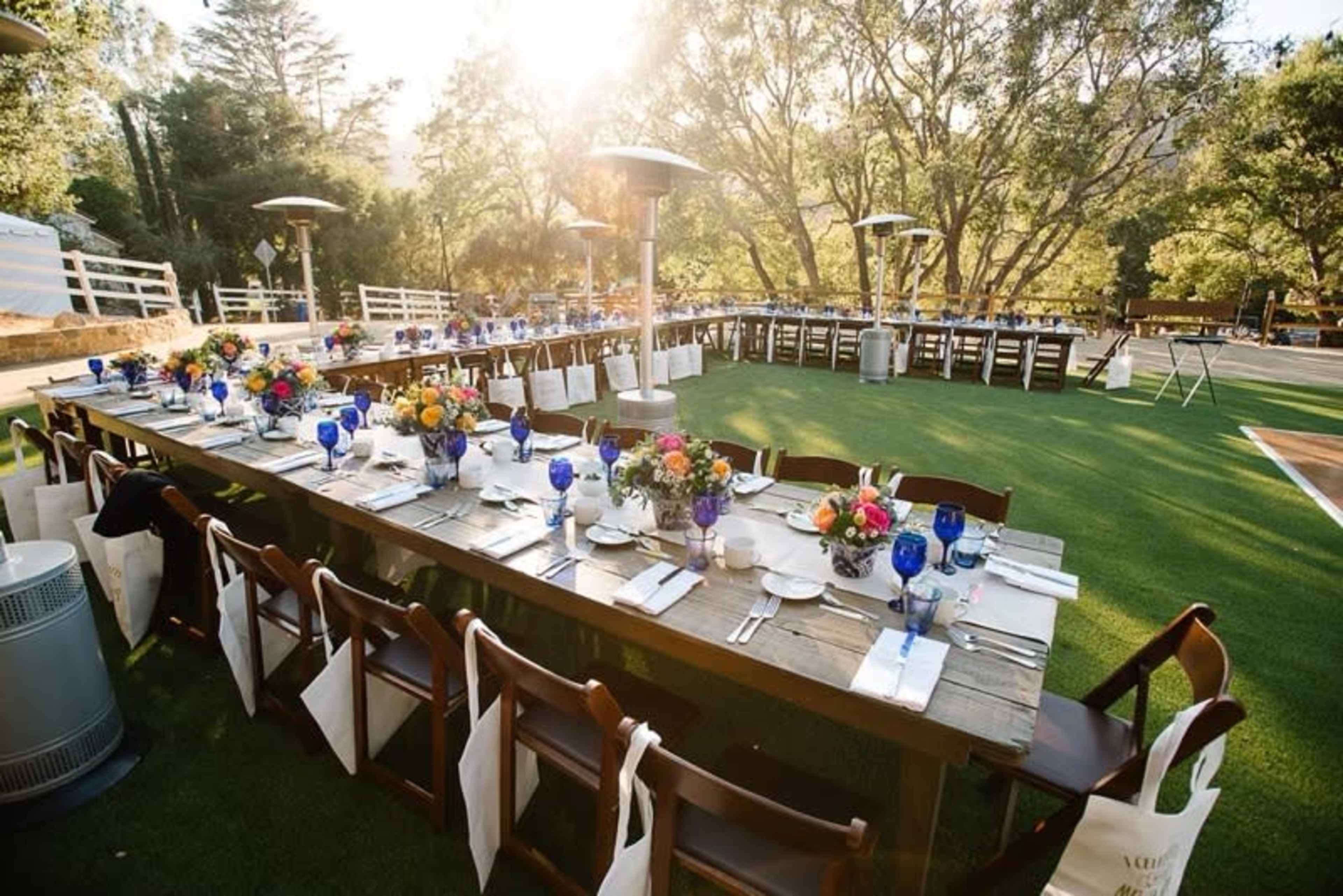 A long outdoor dining table is set for an event, surrounded by greenery and illuminated by sunlight.