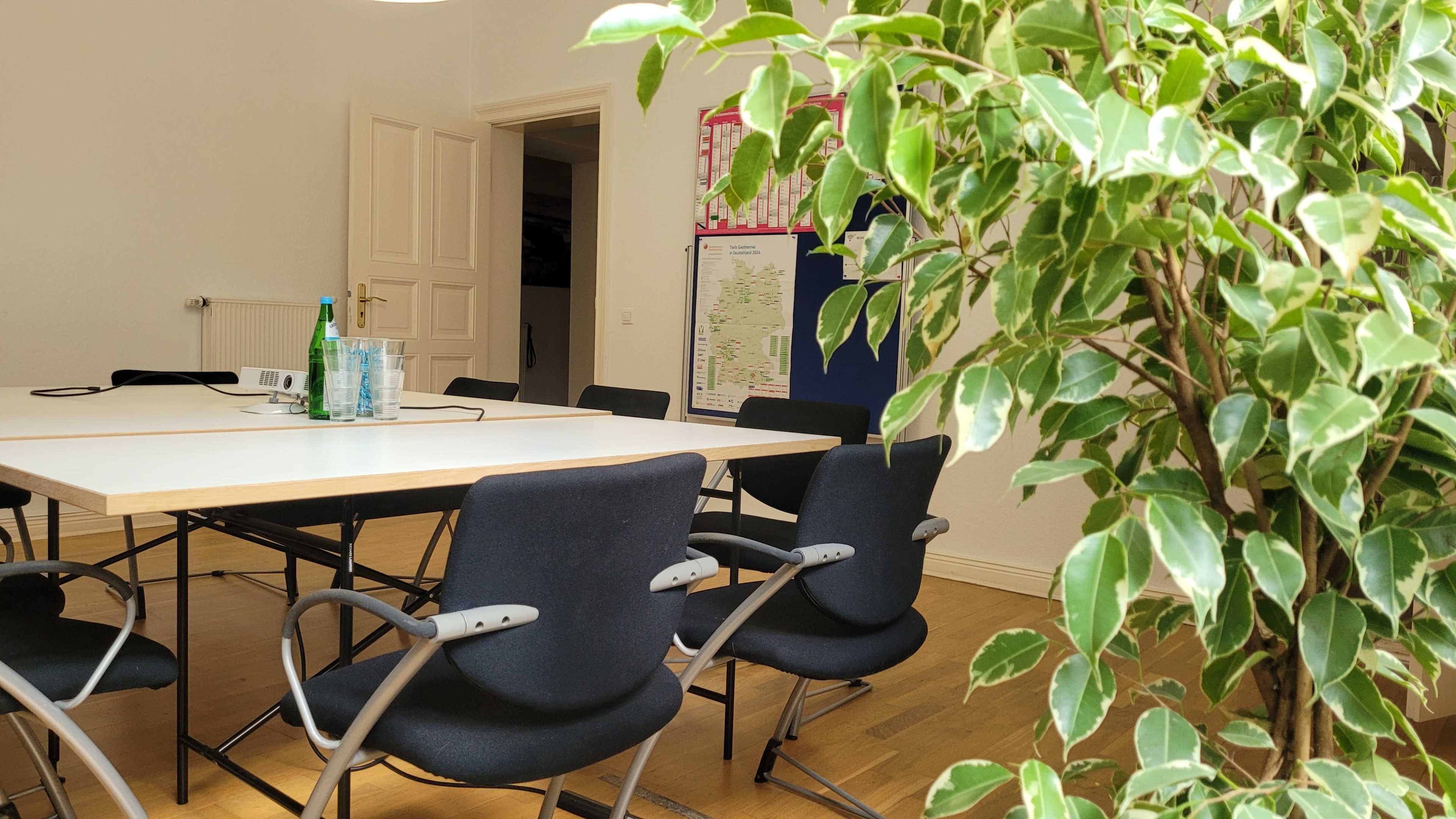 A conference room is set up with a large table and several black chairs, surrounded by a green leafy plant.