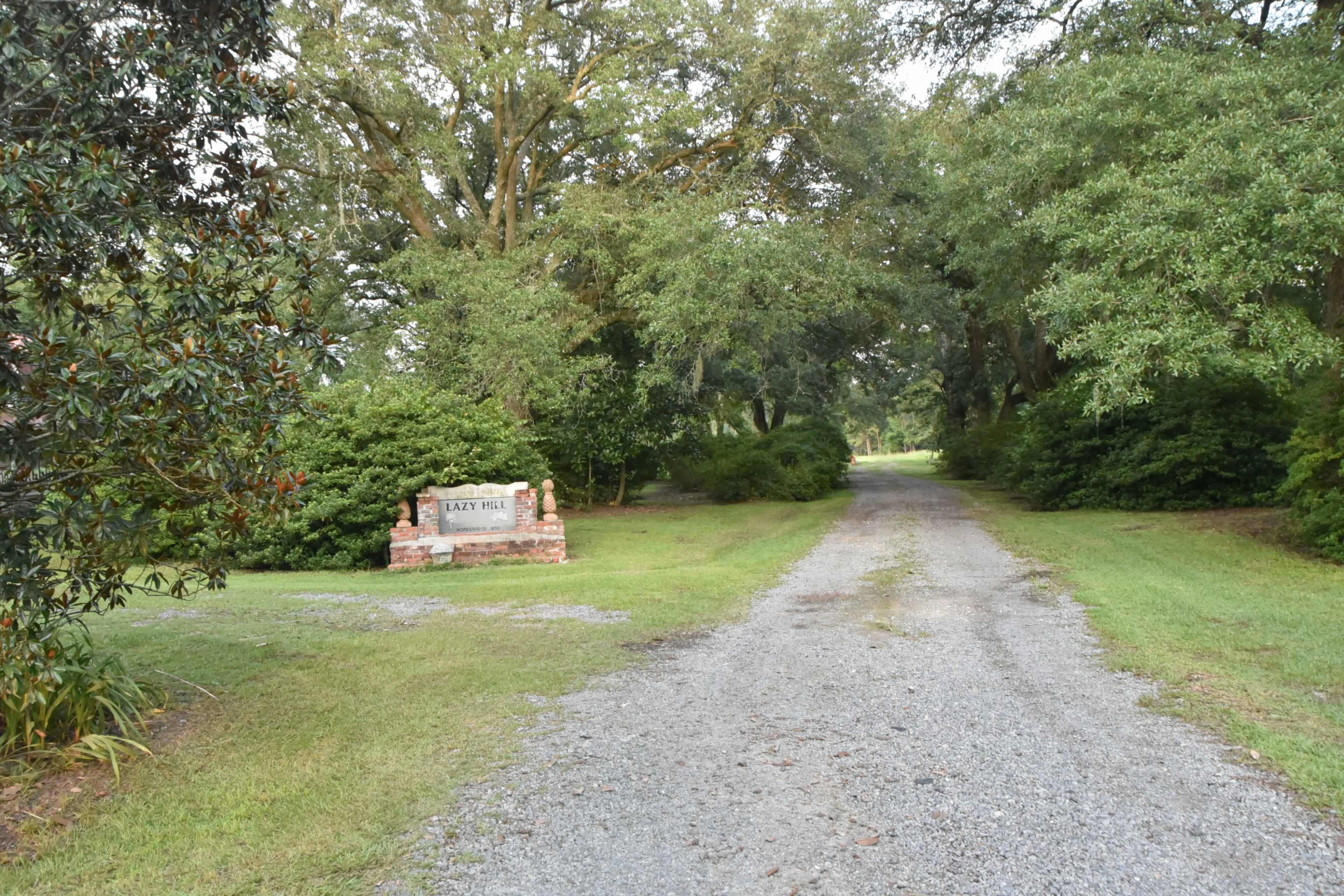 The image shows a gravel driveway lined with trees leading to a sign that reads "Lazy Hill."