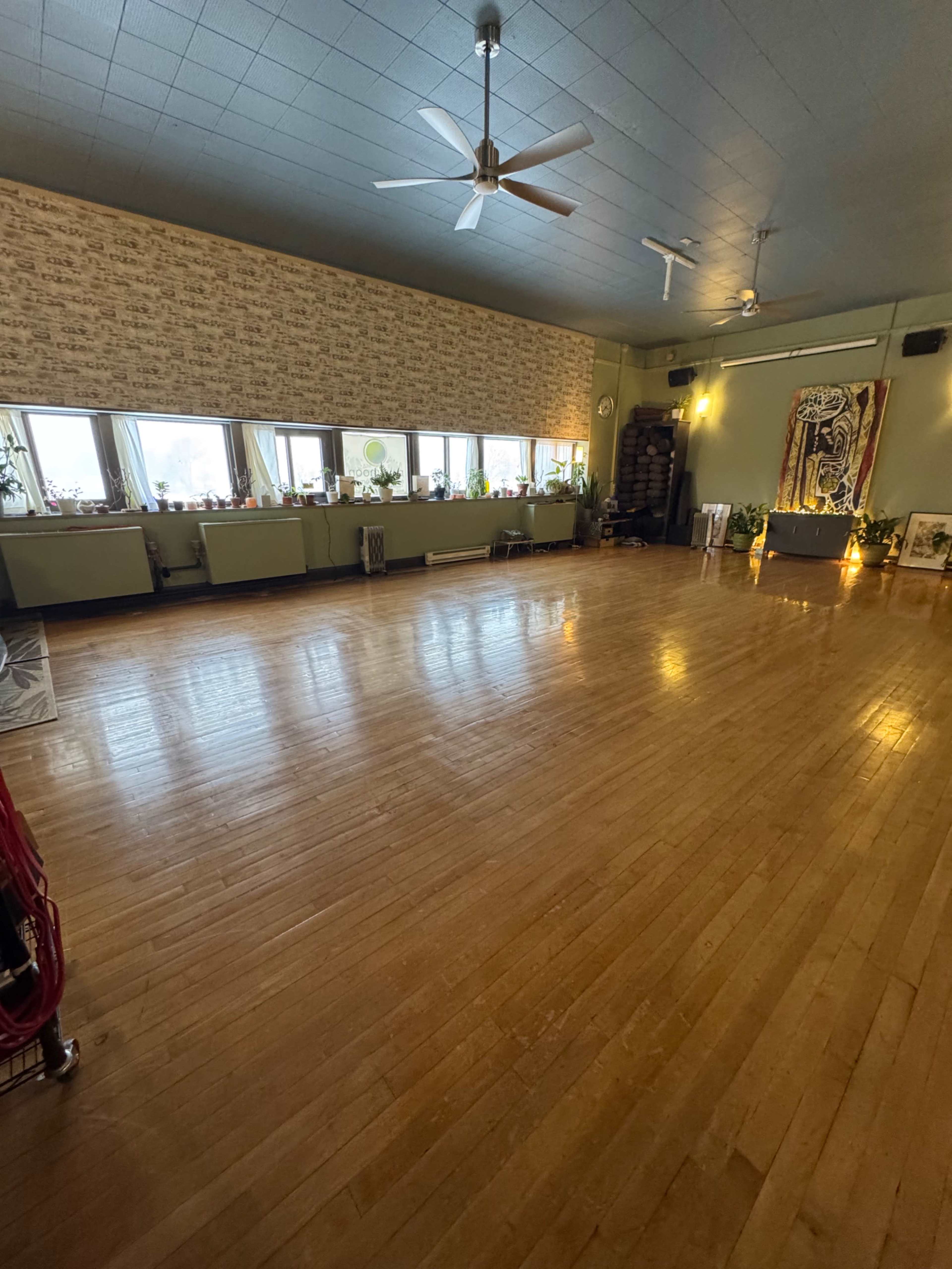 Serene yoga studio in a repurposed elementary school. Image in Elmwood North, Buffalo, NY
