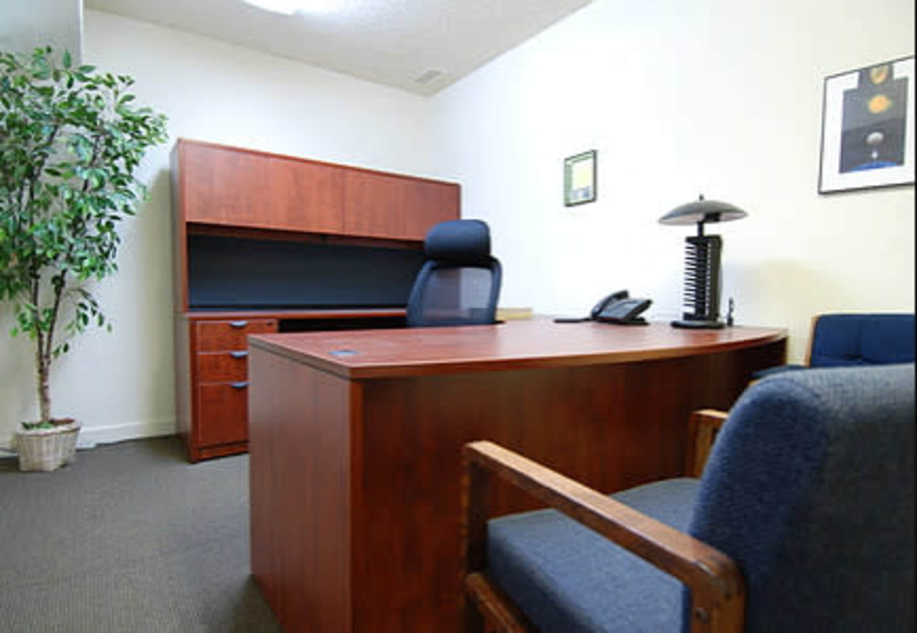 An organized office space featuring a wooden desk, an office chair, a filing cabinet, and a potted plant.