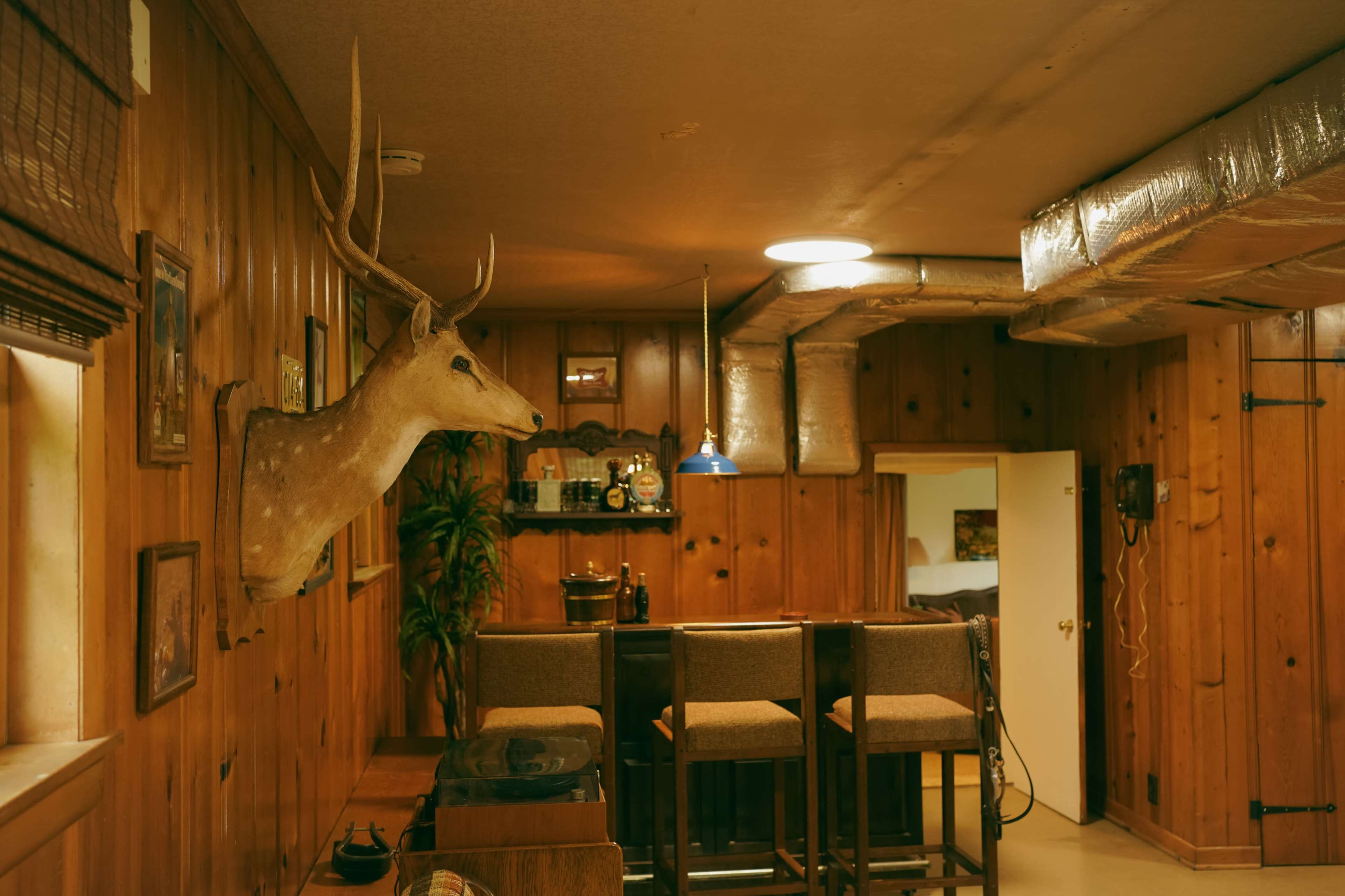 The image shows a rustic room with wooden walls, featuring a mounted deer head and a bar area with high stools.