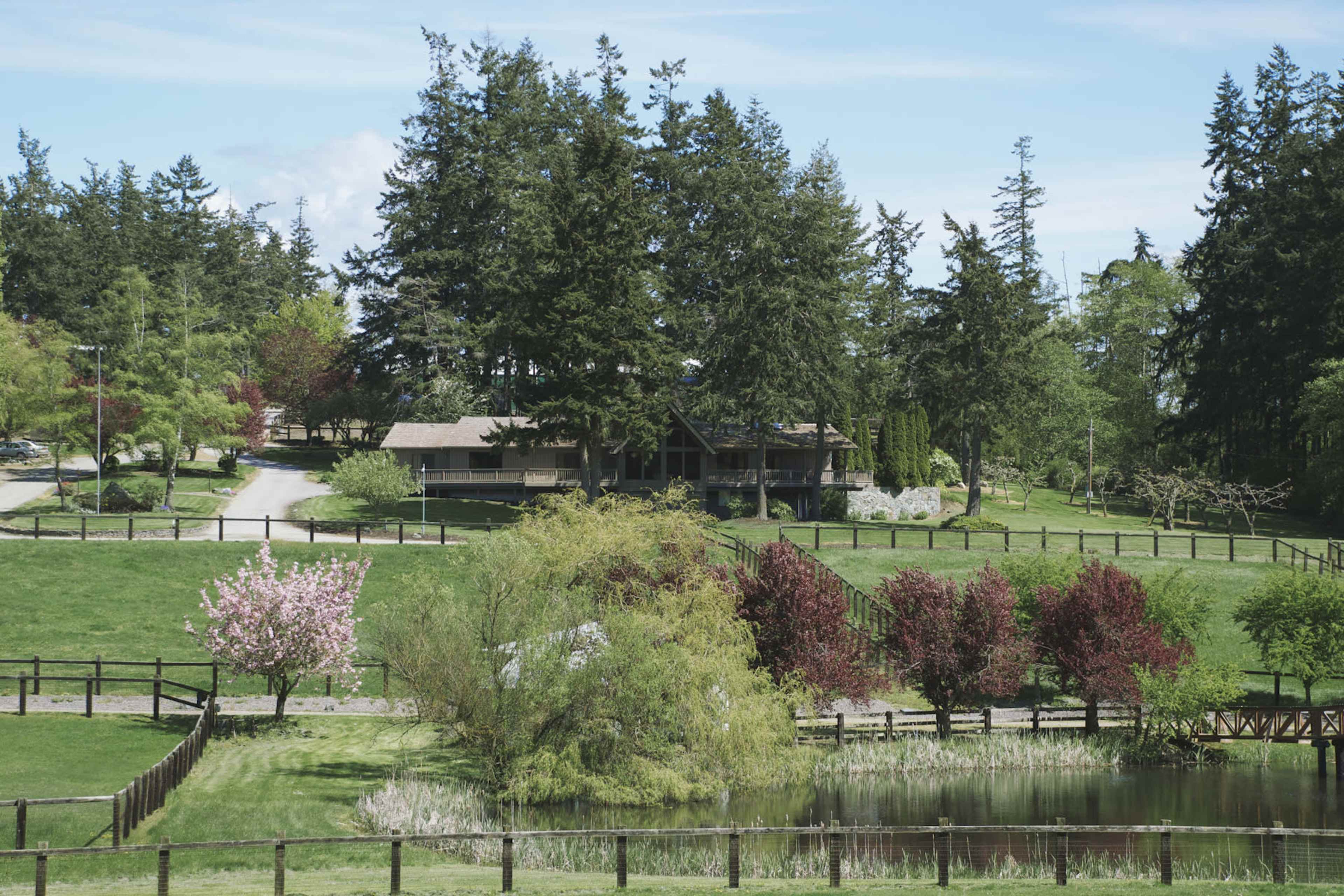 A house is situated on a grassy landscape surrounded by trees and a pond, with a winding road leading to it.