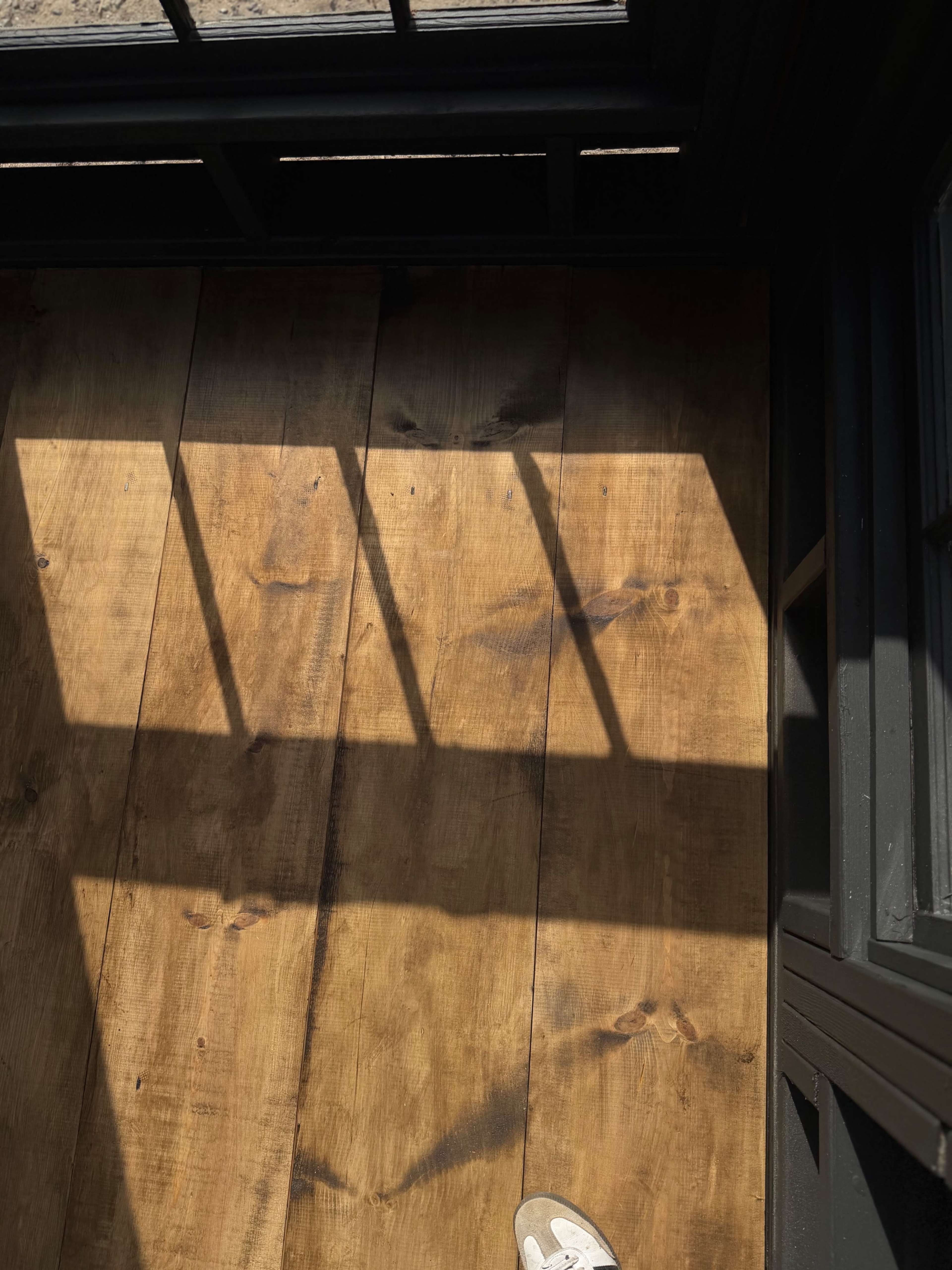 The image shows a wooden floor with sunlight casting shadows from a window.