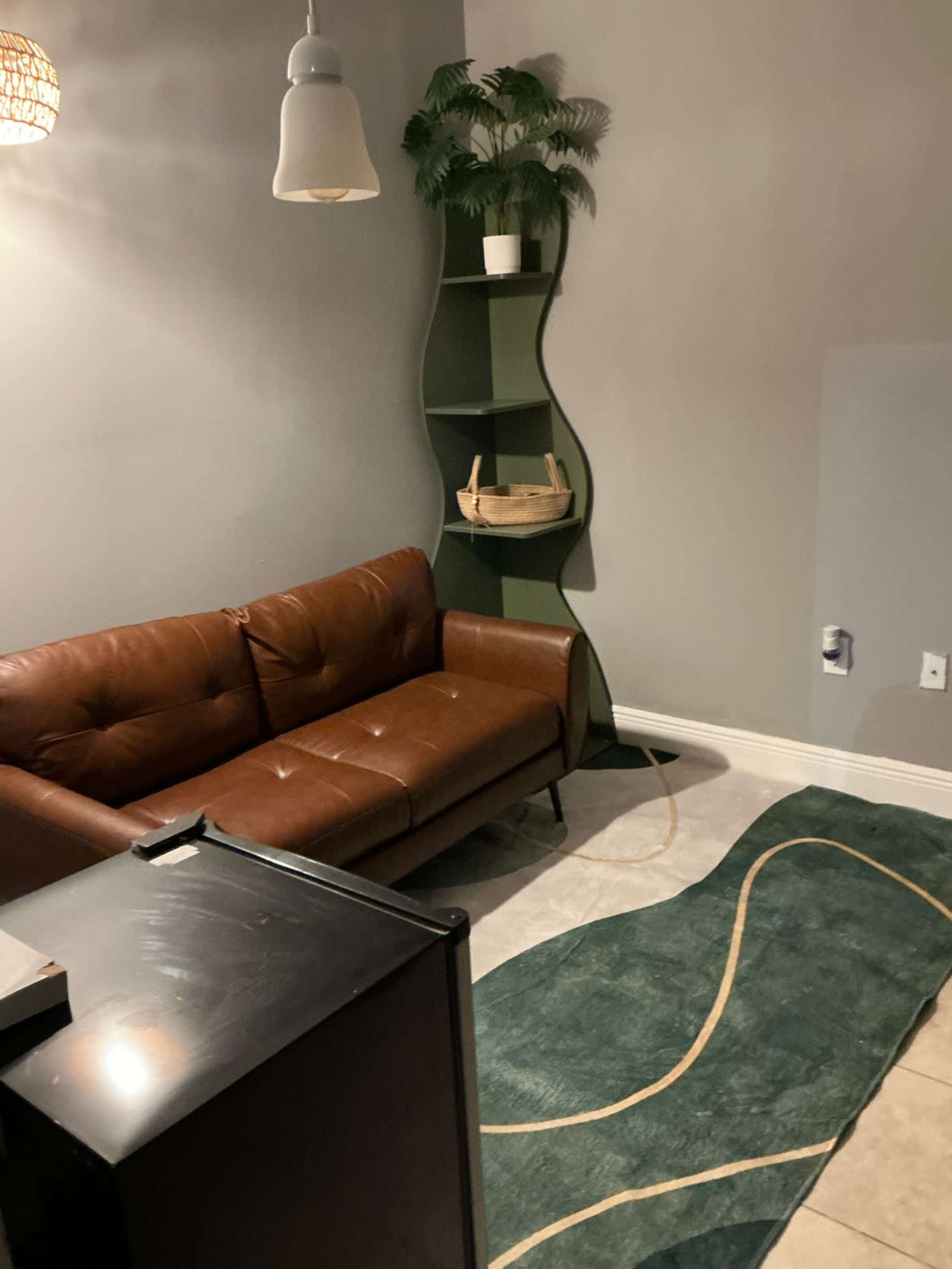 The image shows a small living space featuring a brown leather couch, a green bookshelf, and a patterned rug on the floor.