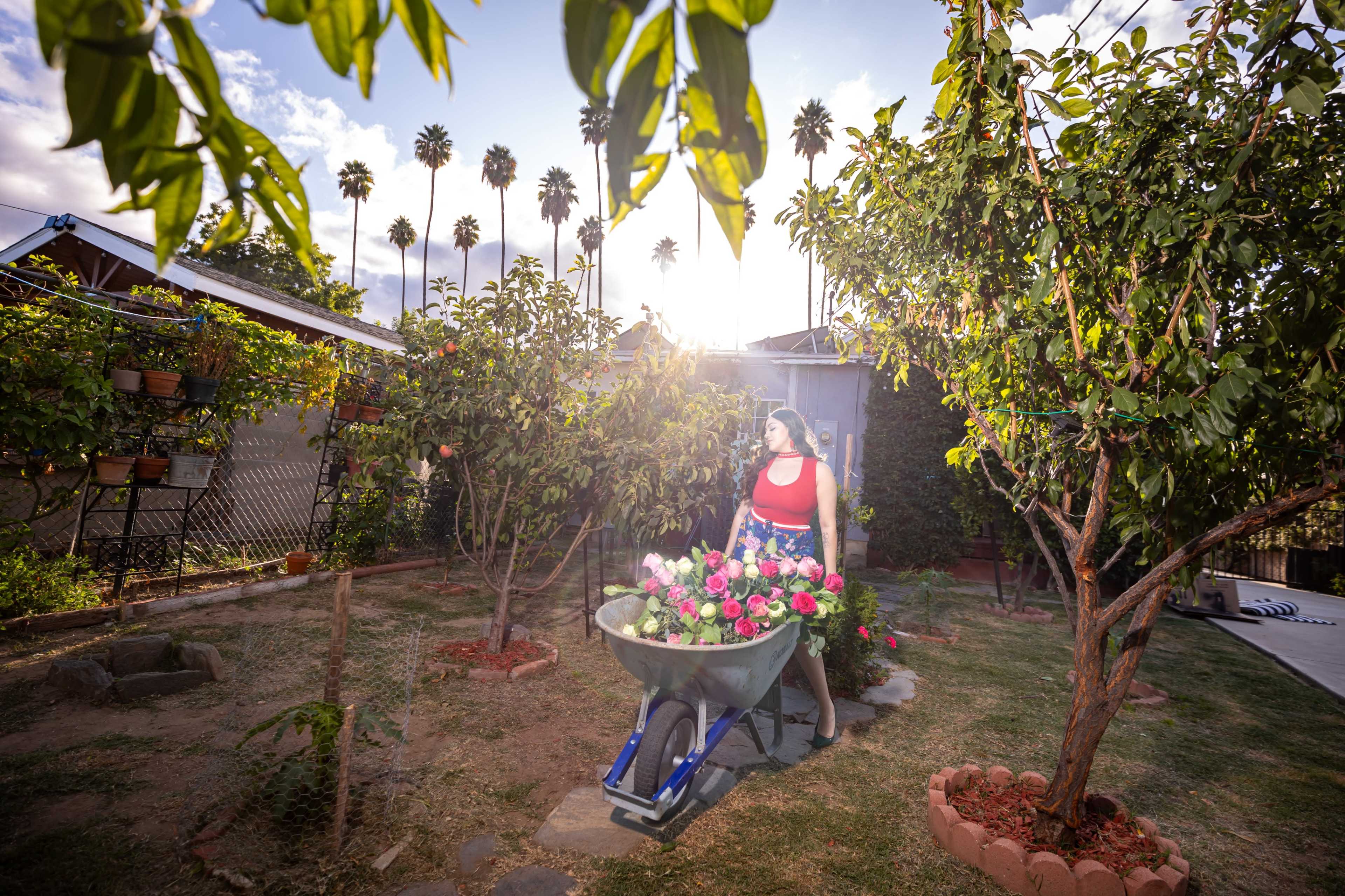 A person is pushing a wheelbarrow filled with flowers through a garden surrounded by trees and a distant house.