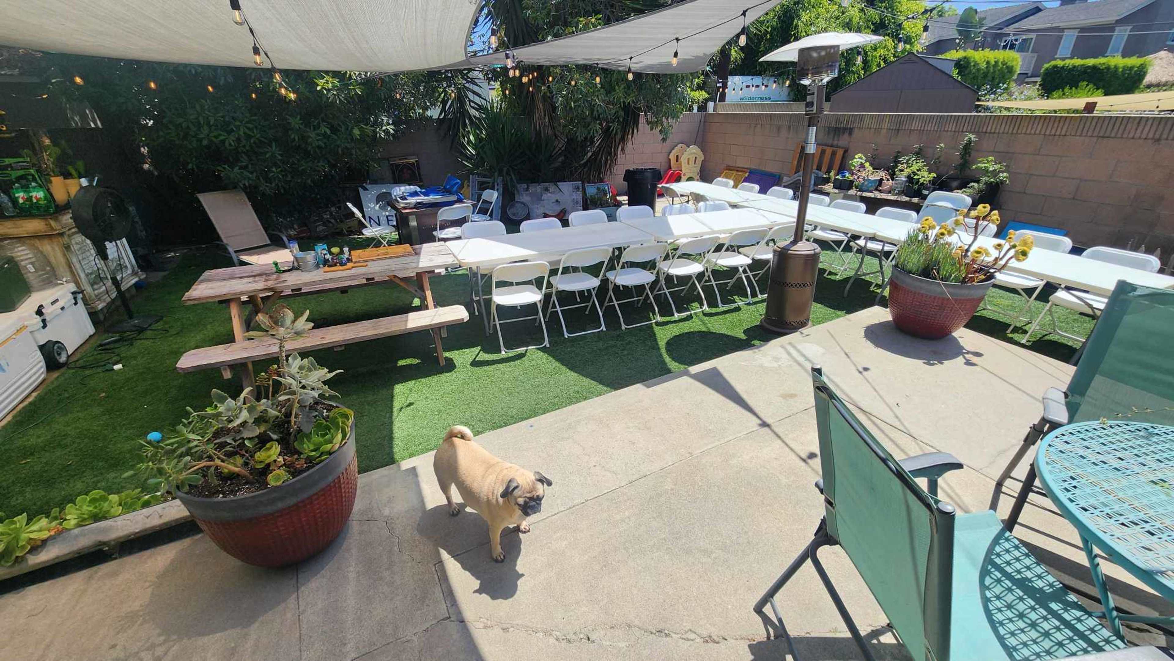 Plant Haven Retreat: Lush Garden Oasis for Events Image in Los Altos, Long Beach, CA