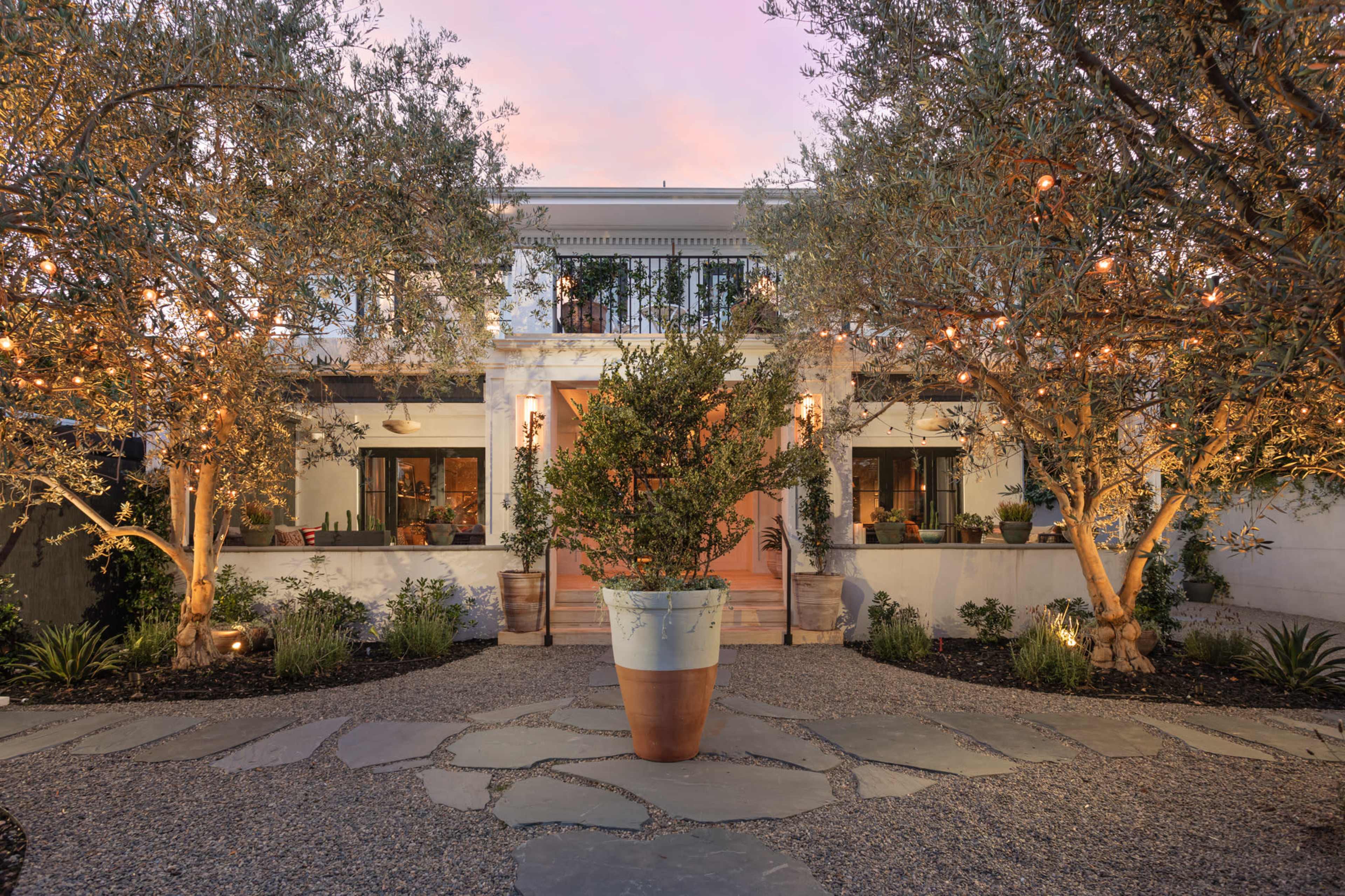 A modern home features a central large potted plant surrounded by olive trees and landscaped lighting.