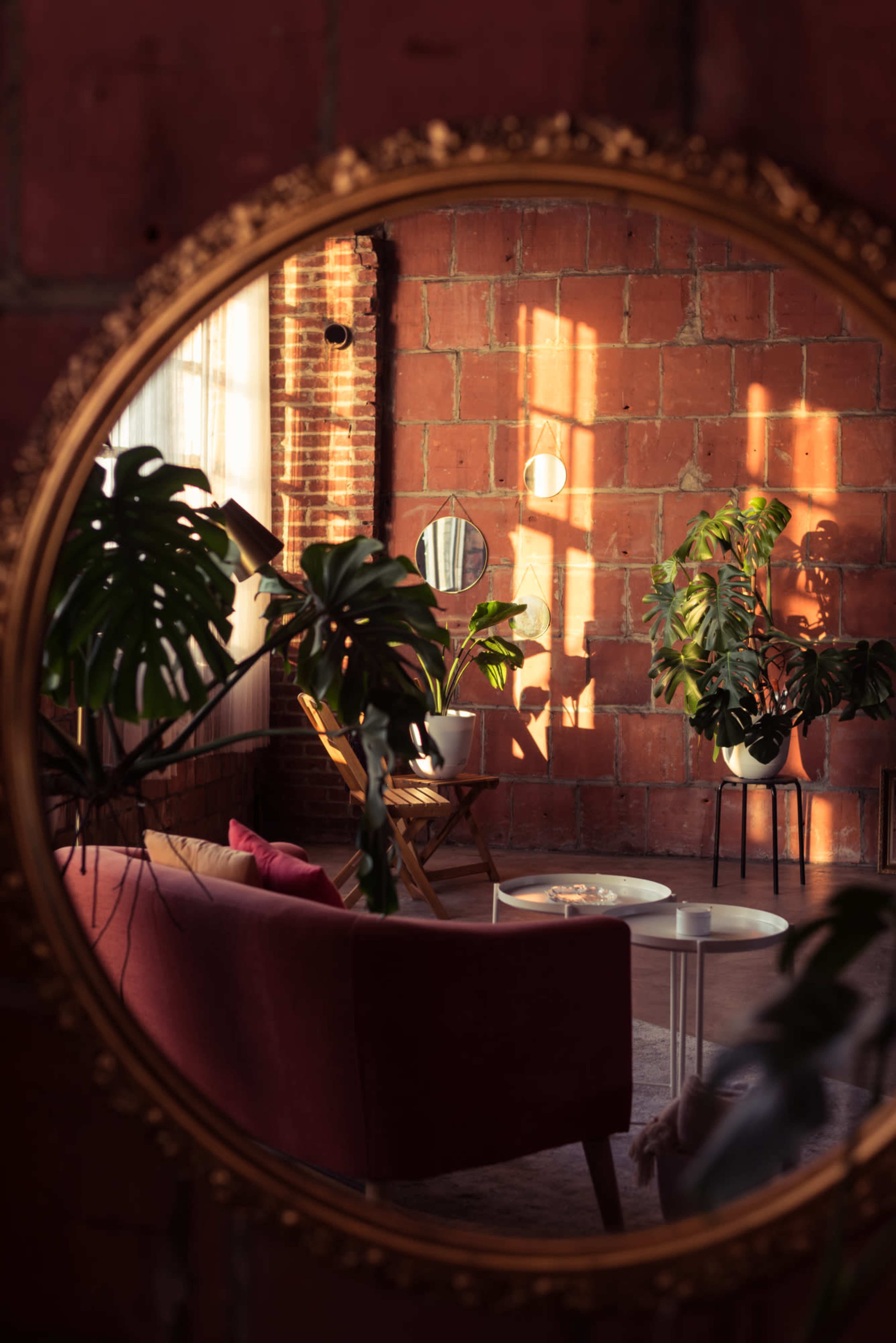 A vintage mirror reflects a cozy living room with a red brick wall, plants, and a seating area illuminated by sunlight.
