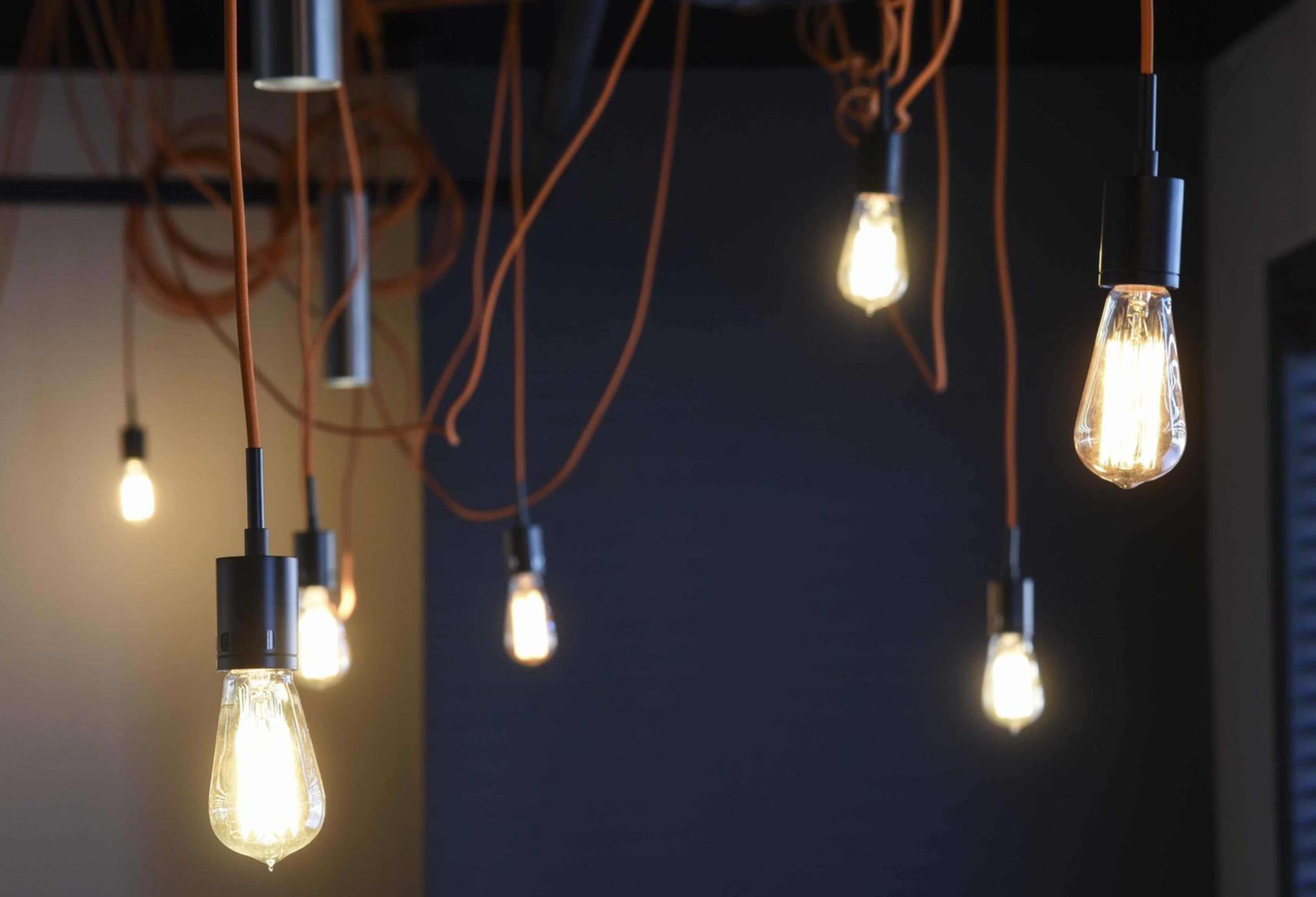 A cluster of exposed light bulbs hangs from the ceiling with orange electrical cords.