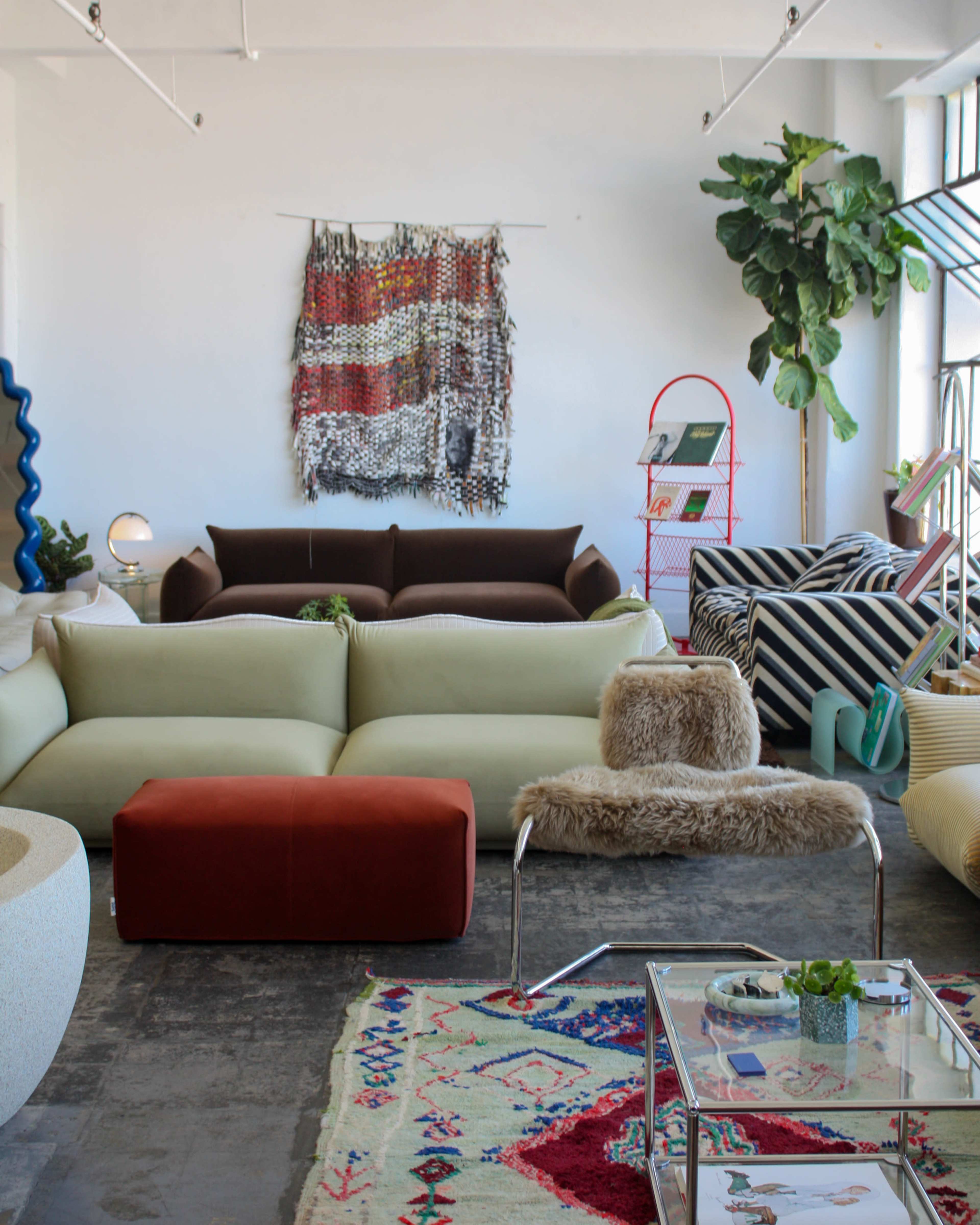 The image shows a modern living space with a variety of unique sofas, an area rug, and decorative plants.