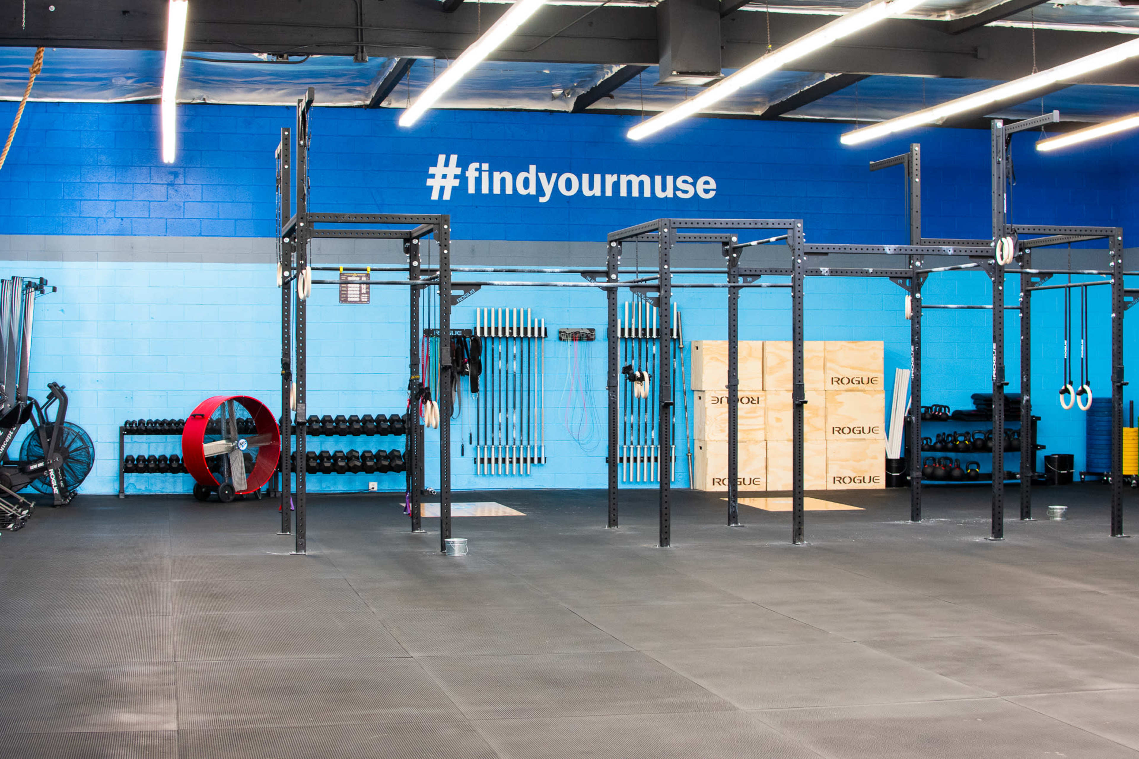 The image shows a spacious gym with weightlifting equipment, a pull-up station, and various fitness accessories against a blue wall marked with the hashtag "#findyourmuse."
