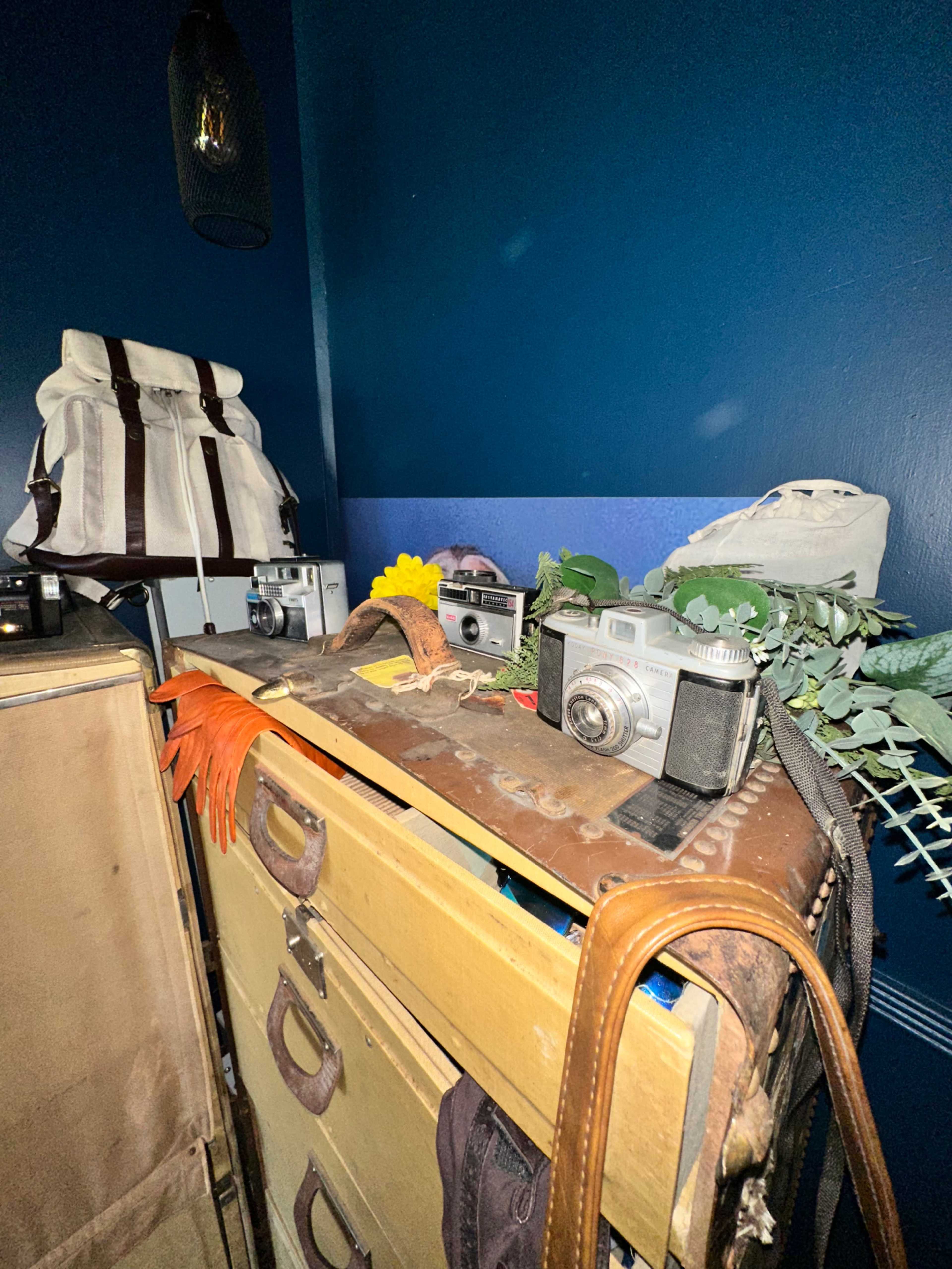 The image shows a collection of vintage cameras and accessories arranged on a wooden storage unit against a dark blue wall.