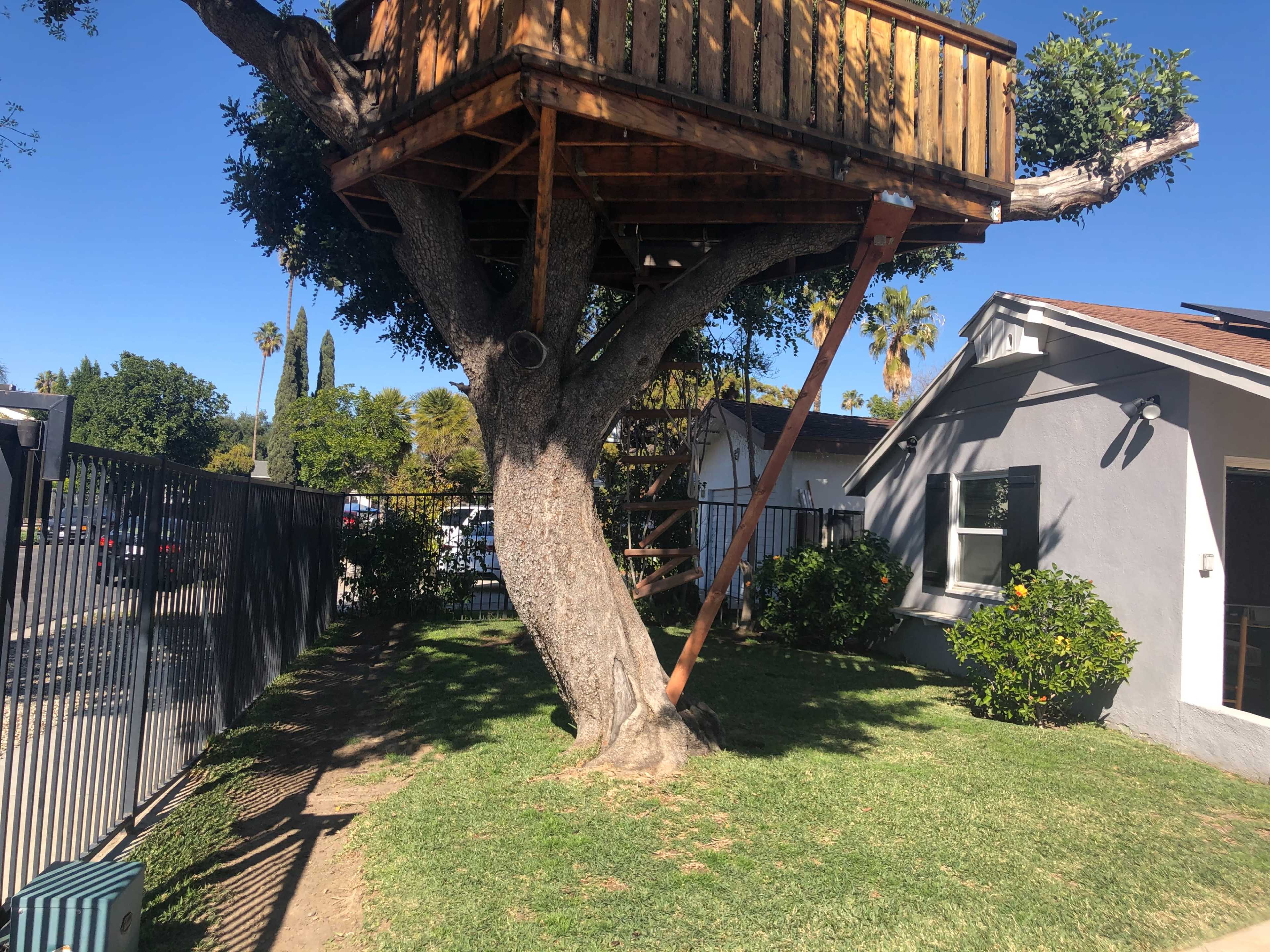 A wooden treehouse is built high in a tree, supported by a large trunk, with a ladder leading up to it in a residential yard.