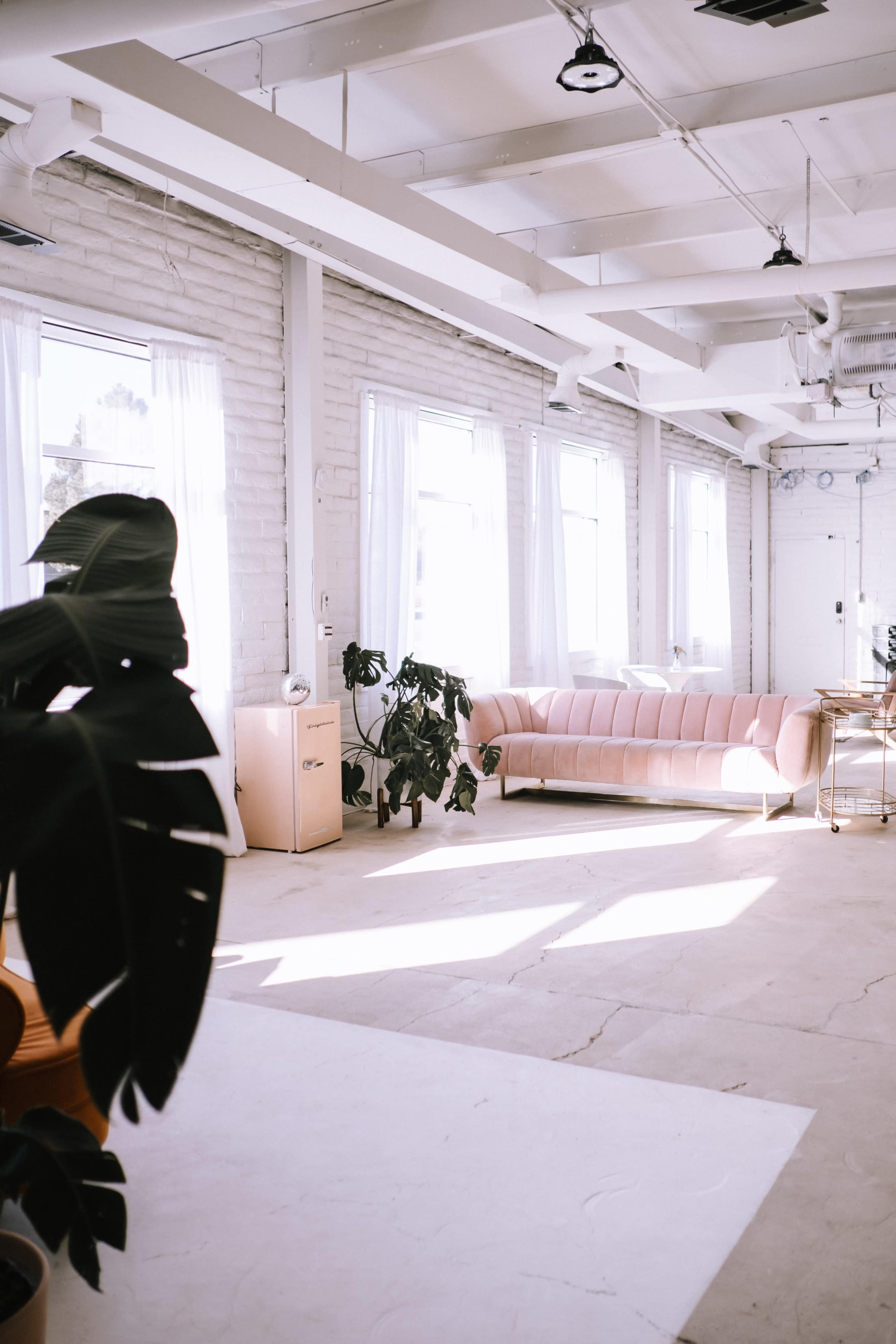 The image shows a bright, minimalist interior with large windows, a pink couch, and various potted plants.