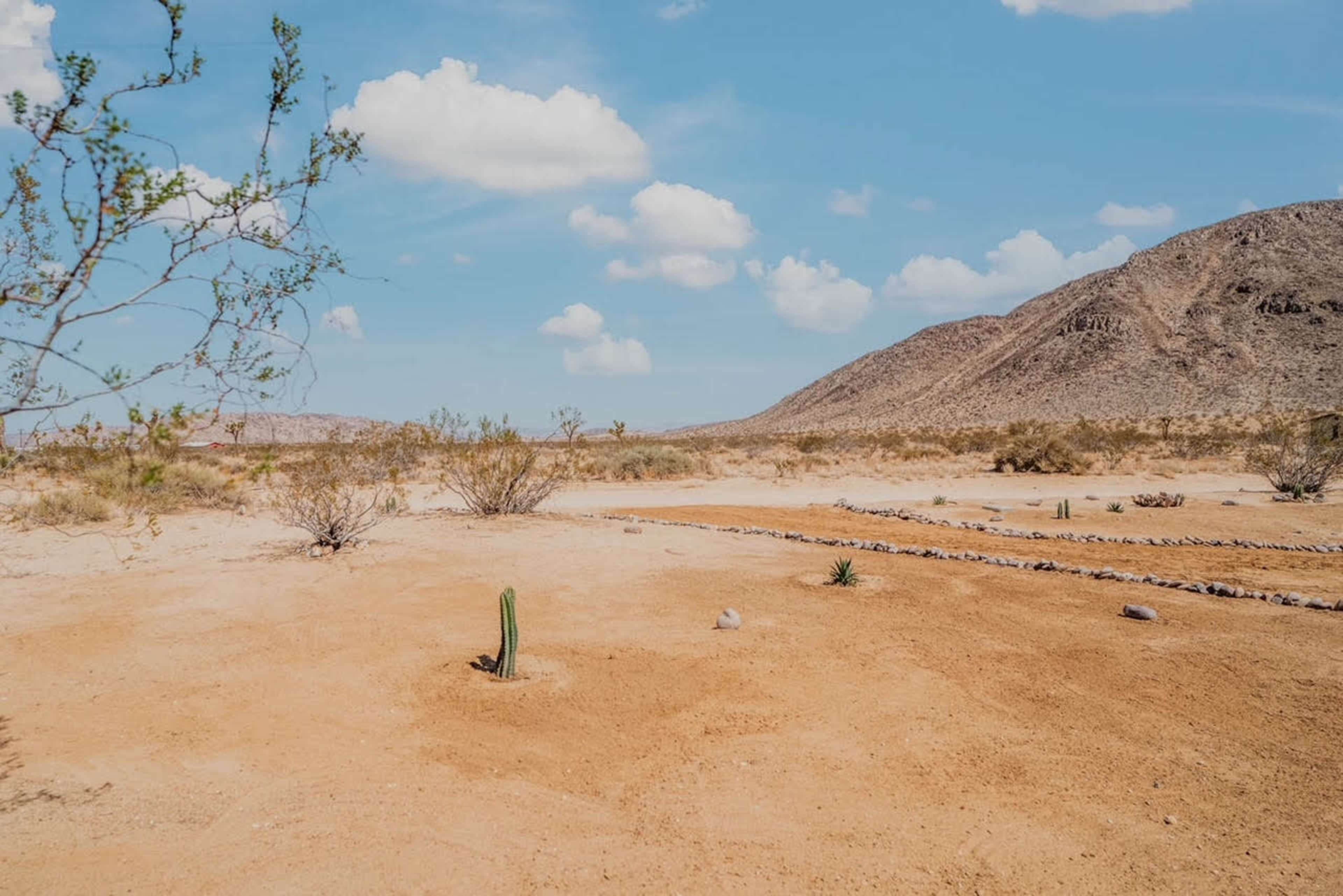 The image shows a desert landscape with sparse vegetation, rocky terrain, and a few scattered cacti under a blue sky.