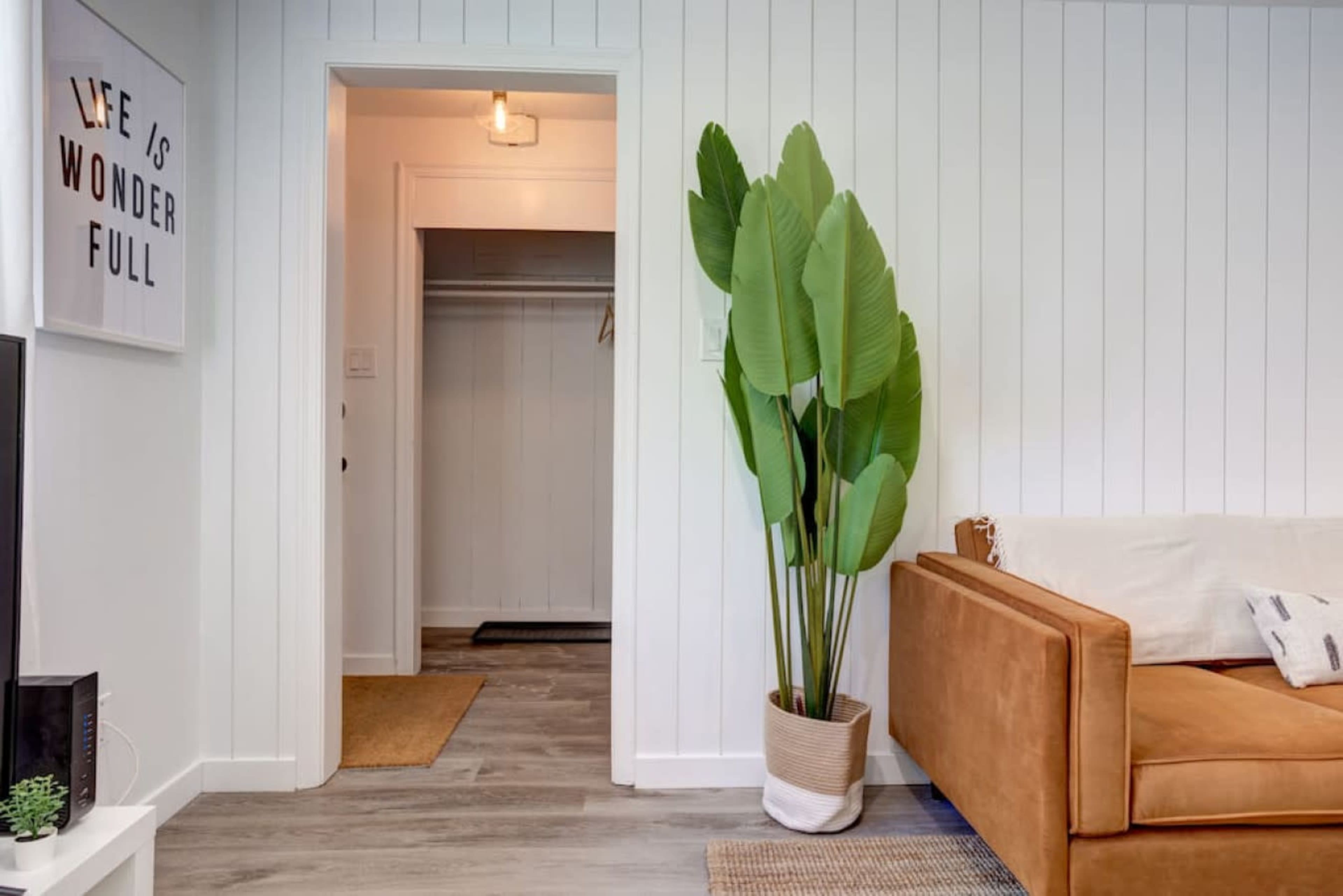 A modern interior features a brown sofa, a tall potted plant, and a doorway leading to a closet area.
