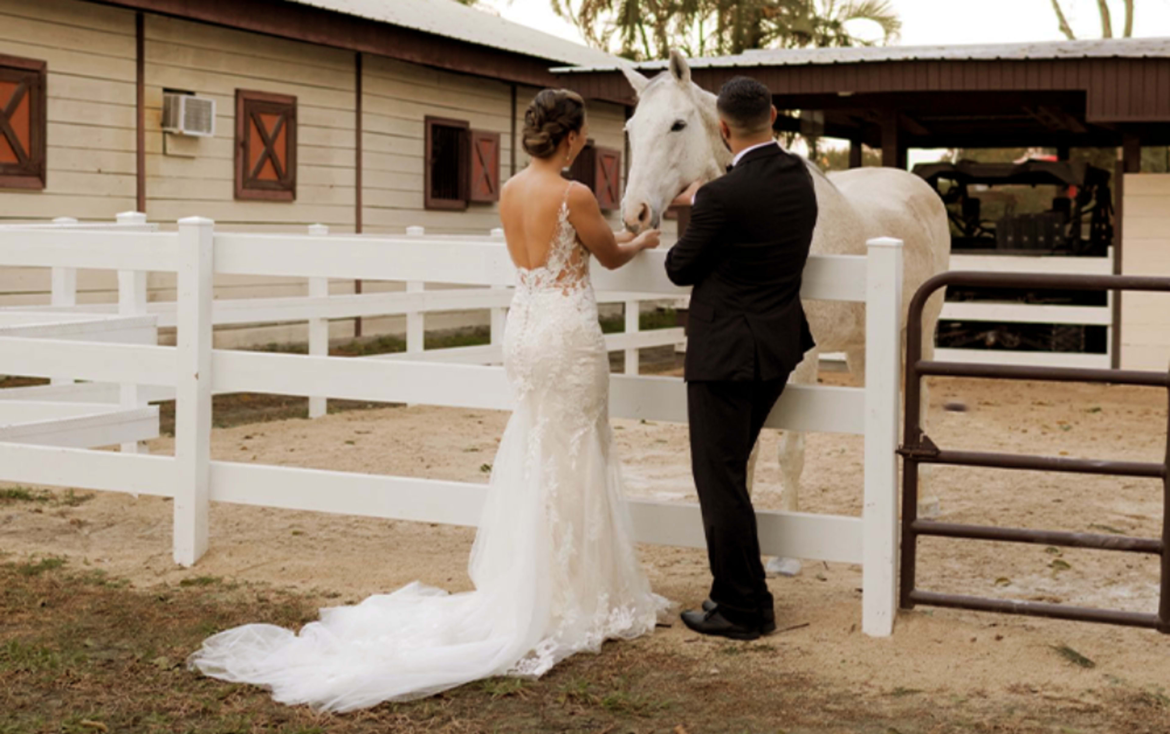 A bride in a lace wedding dress interacts with a white horse near a fence in a rural setting.
