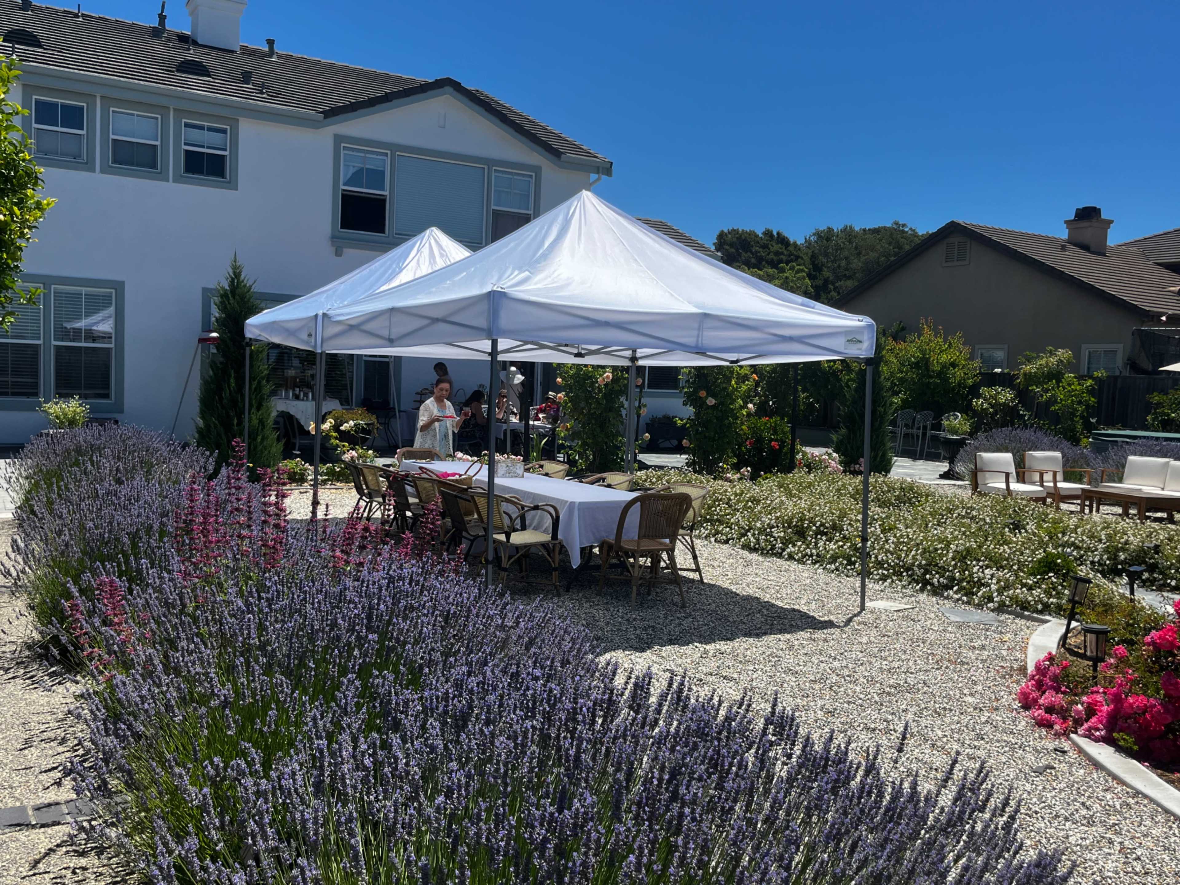 A white canopy is set up in a garden with lavender and other flowers, where two people are preparing for an outdoor gathering.