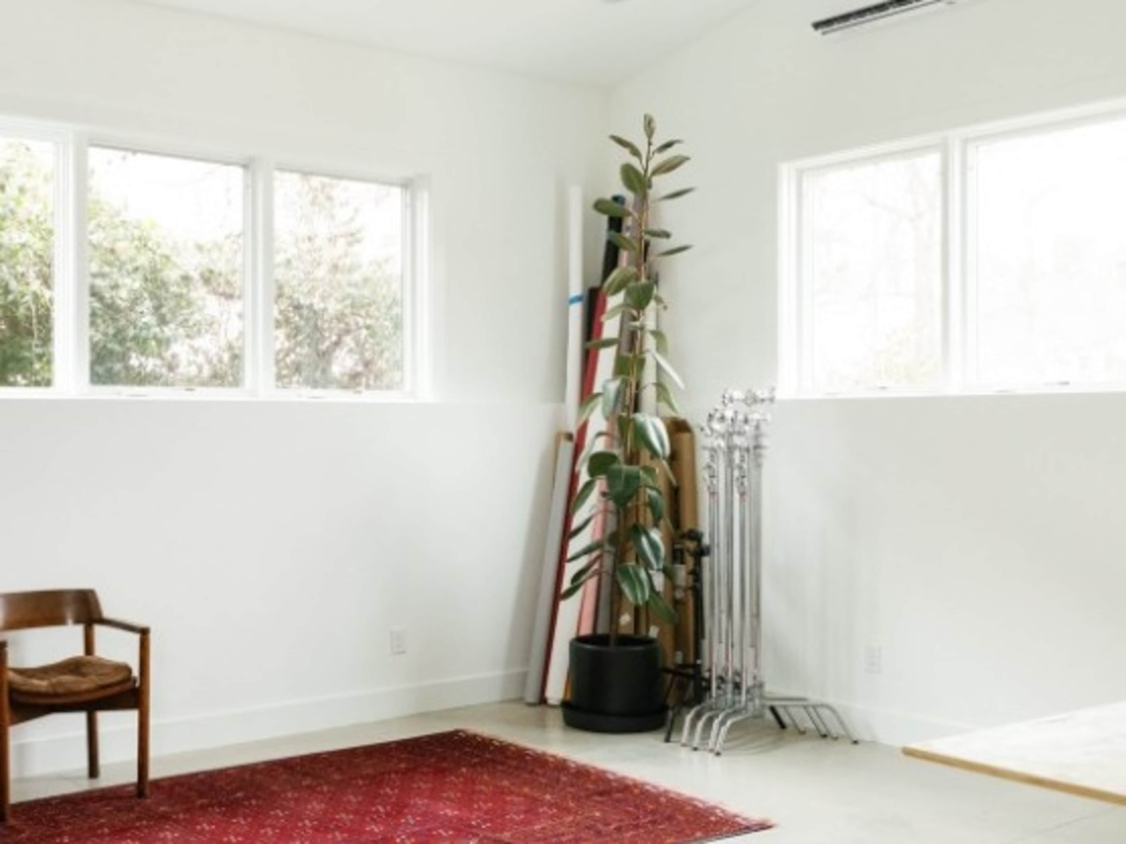 Seamless Paper Backdrop