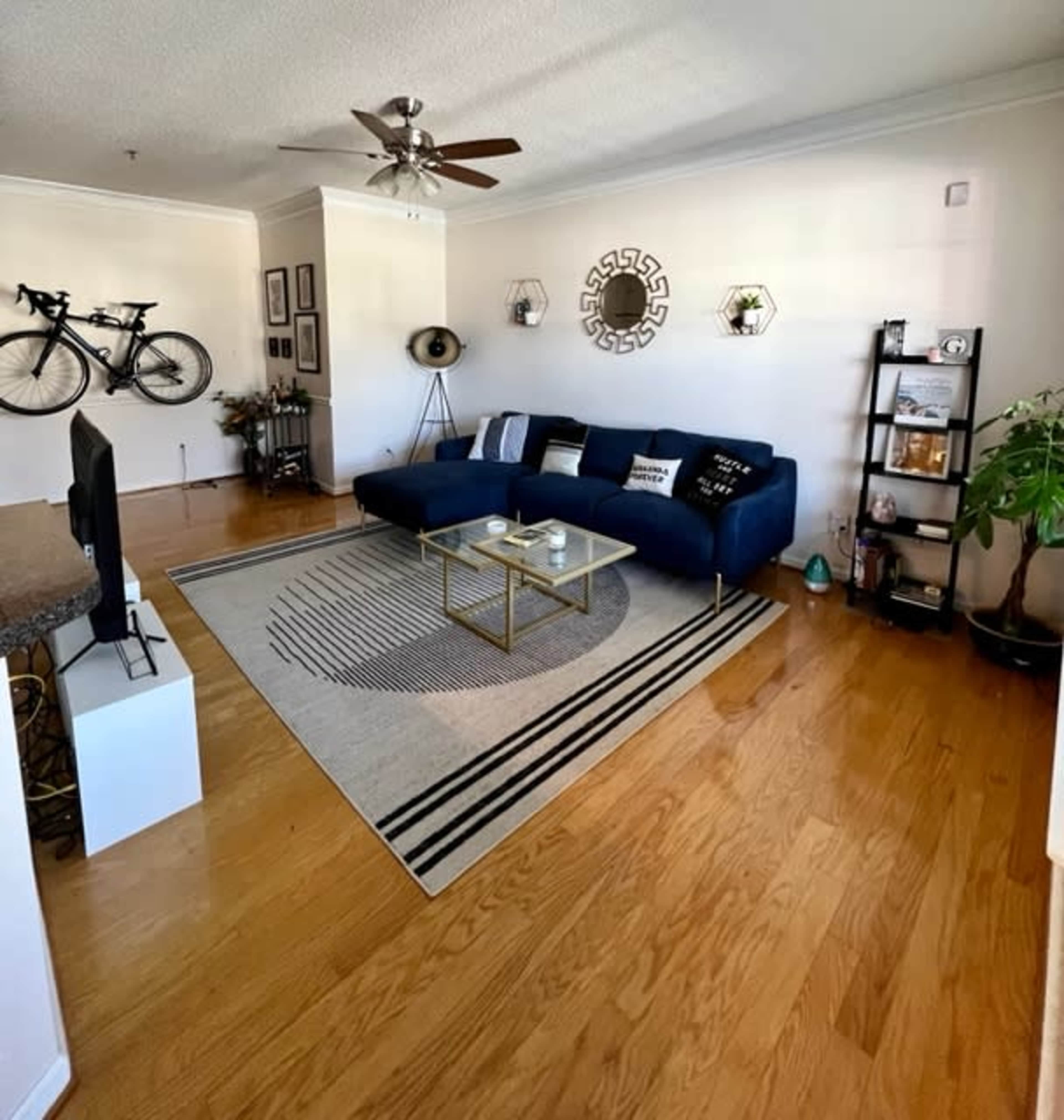 A living room with a blue sofa, a round area rug, a television on a white stand, and decorative plants along with a bookshelf.