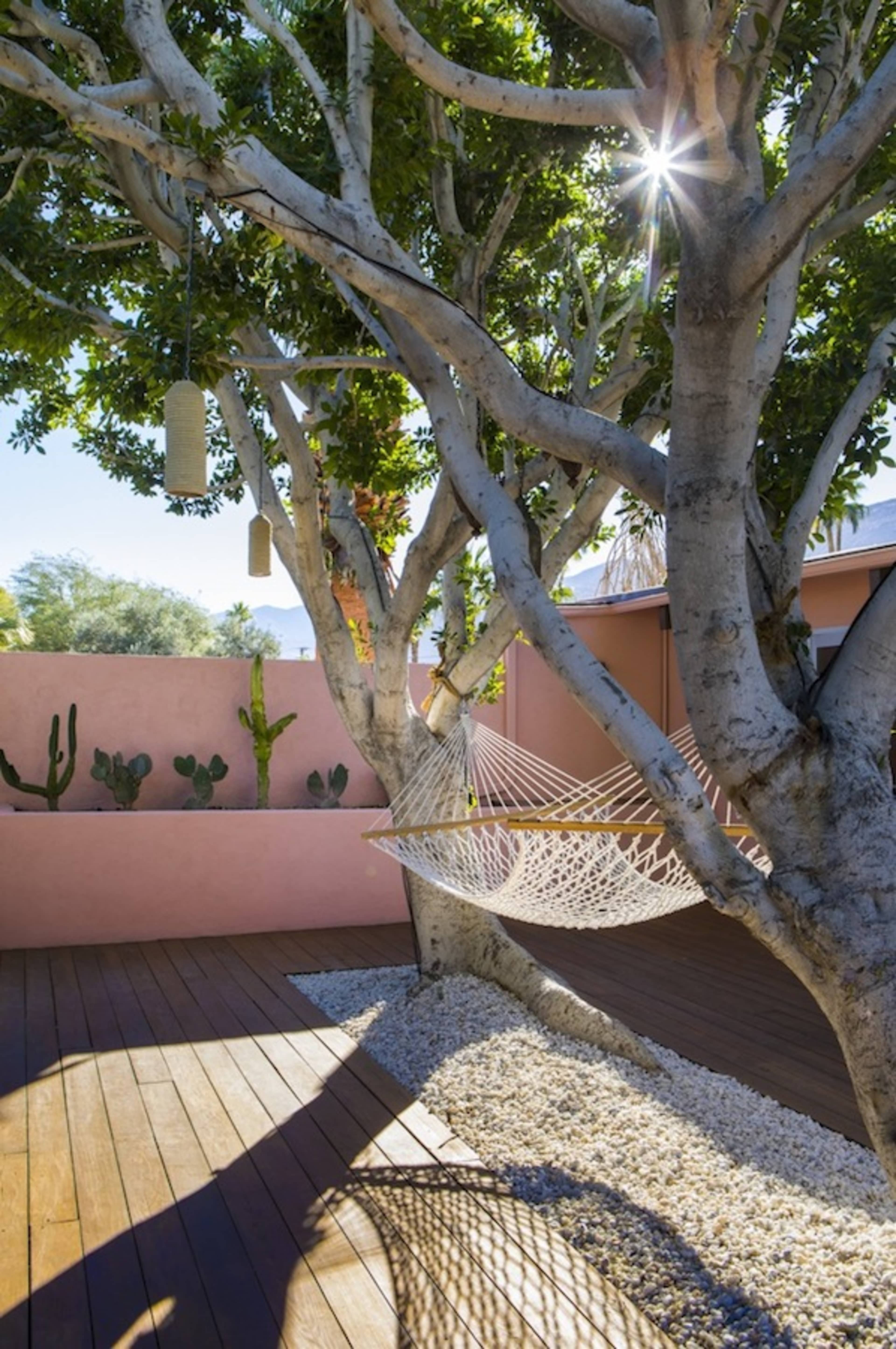 A hammock is suspended between two trees in a landscaped area with a wooden deck, surrounded by cacti and a pink wall.