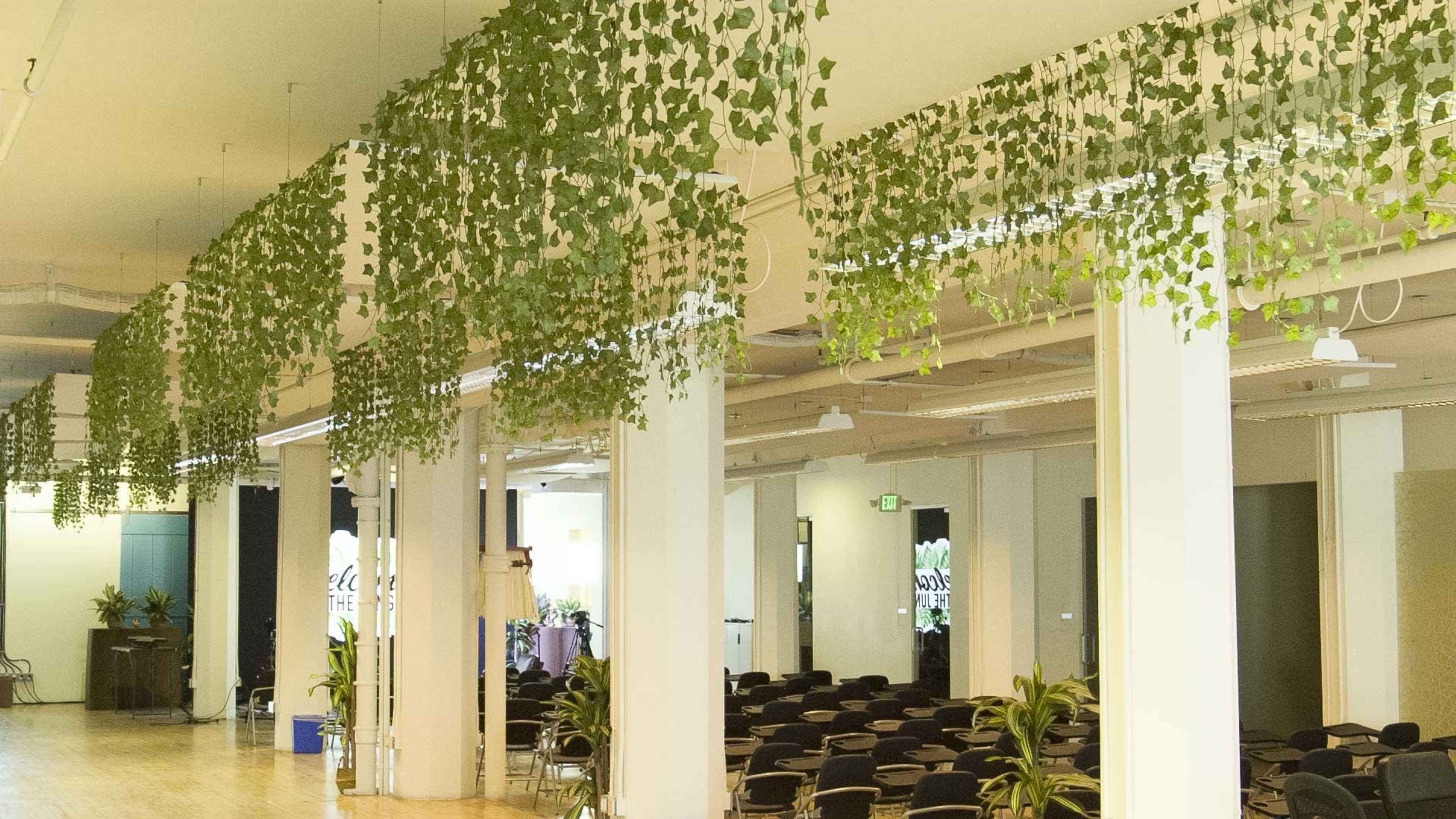Digital Jungle - Your All-in-One Space for Conference, Hackathons, Workshops, Meetups, Podcasts & Networking Image in Mid-Market, San Francisco, CA