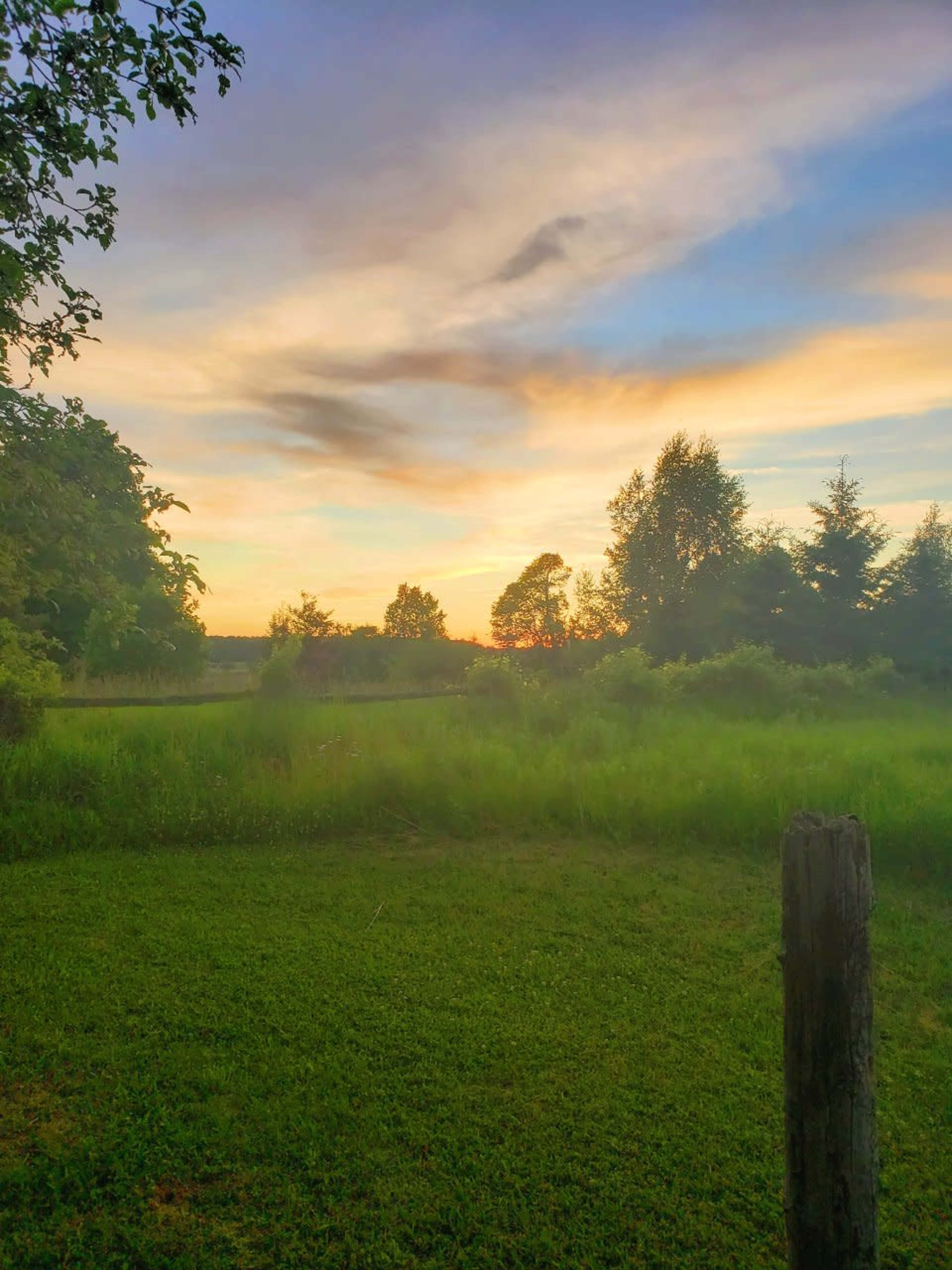 A sunset over a grassy field bordered by trees, with a wooden post in the foreground.