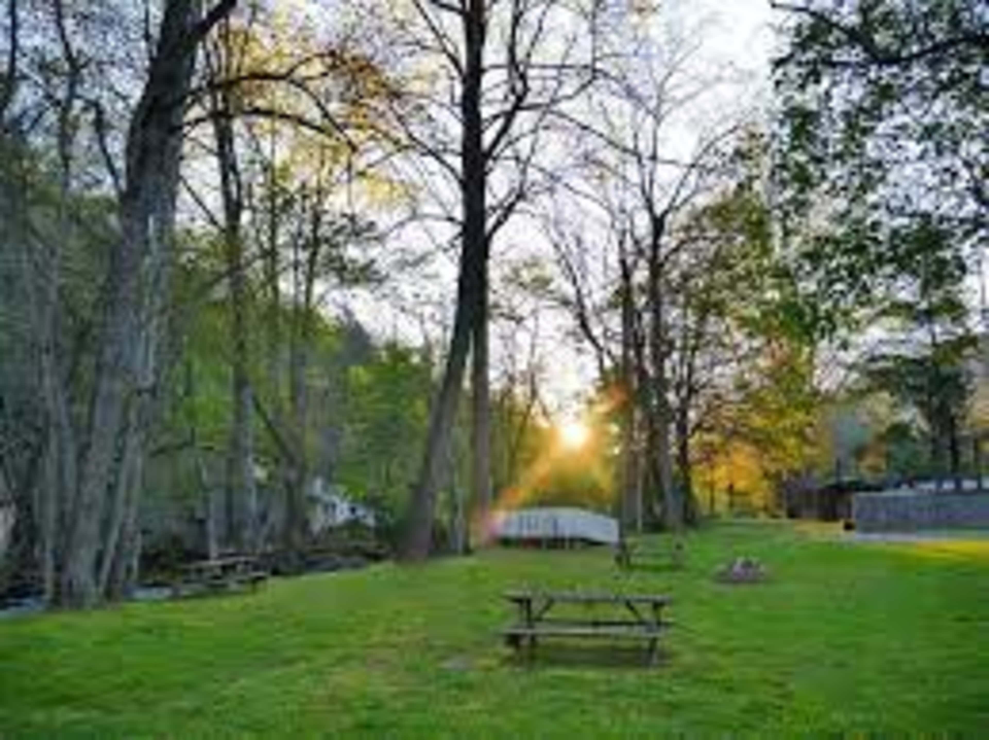 A picnic table sits on a grassy area beside a stream, framed by tall trees and bathed in the warm light of a sunrise.