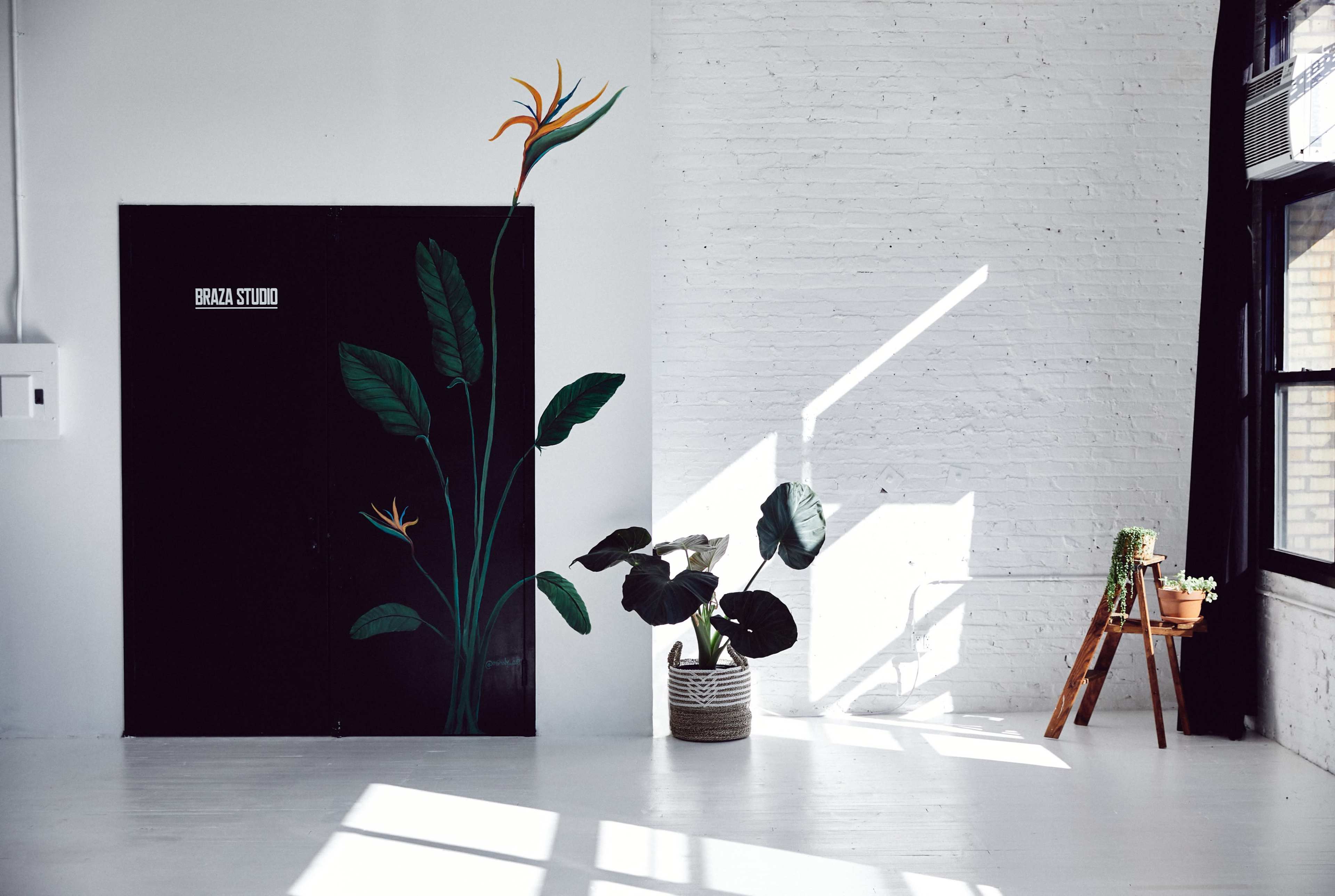 The bright interior of a studio features a mural of large leaves and a flower on a black door, with a potted plant and a small wooden stand displaying greenery.