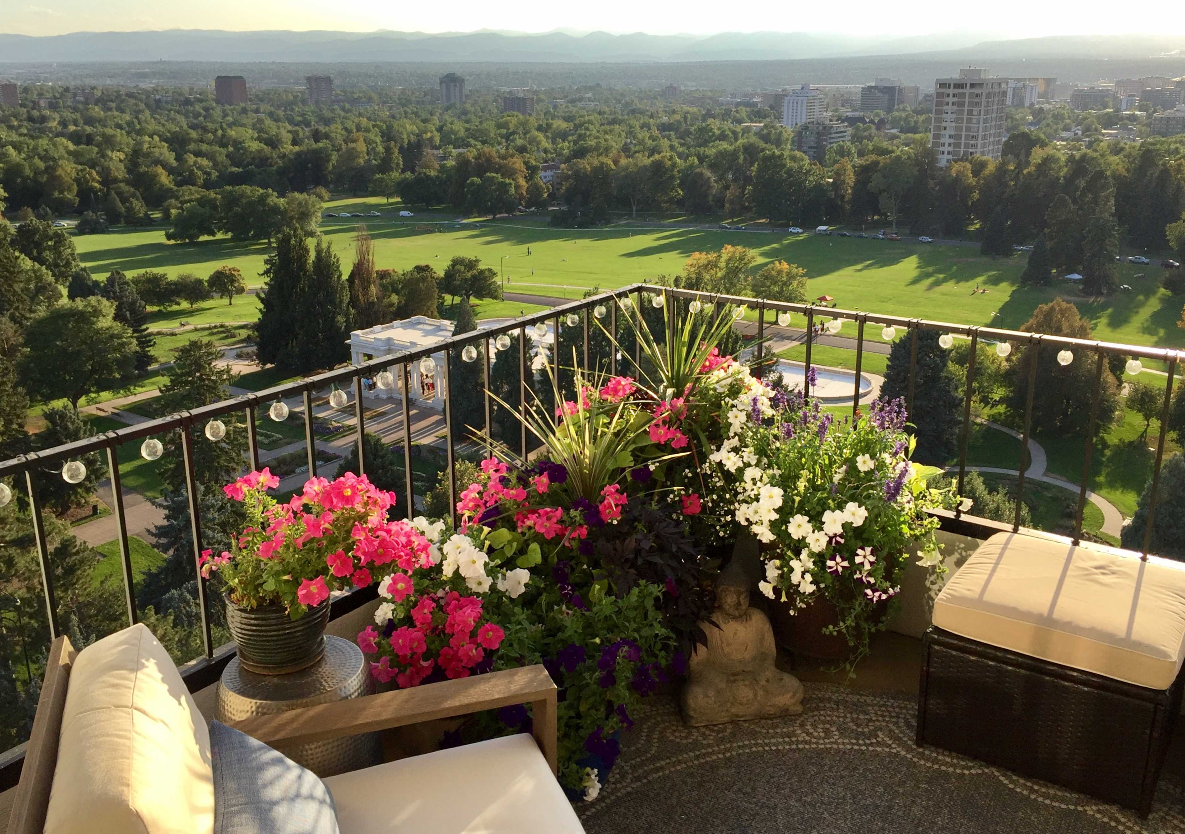 A balcony garden displays colorful flowers in pots, overlooking a green park and distant mountains under a clear sky.