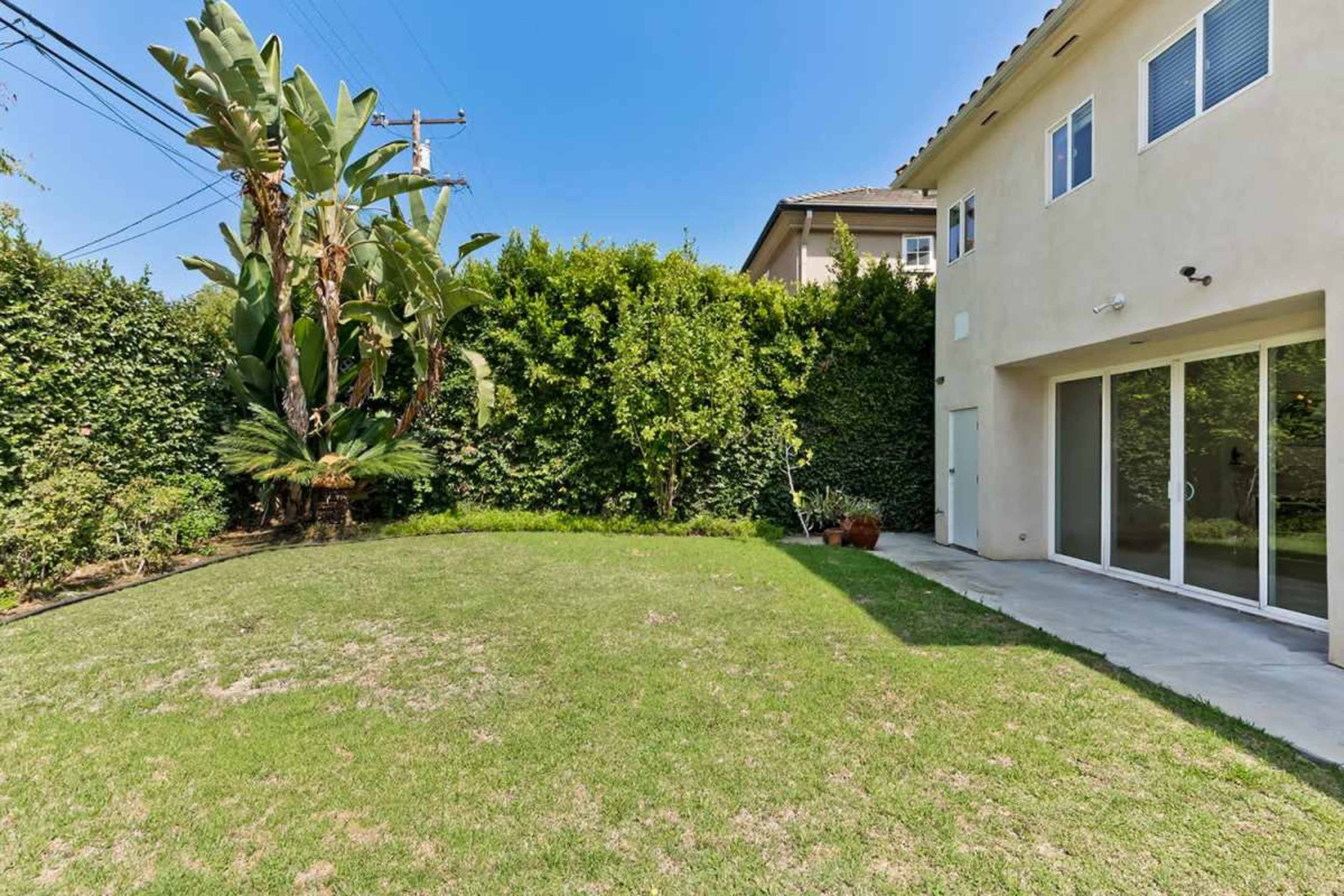 The image shows a backyard with a grassy area surrounded by tall greenery, including palm trees, and a house with large glass doors on one side.